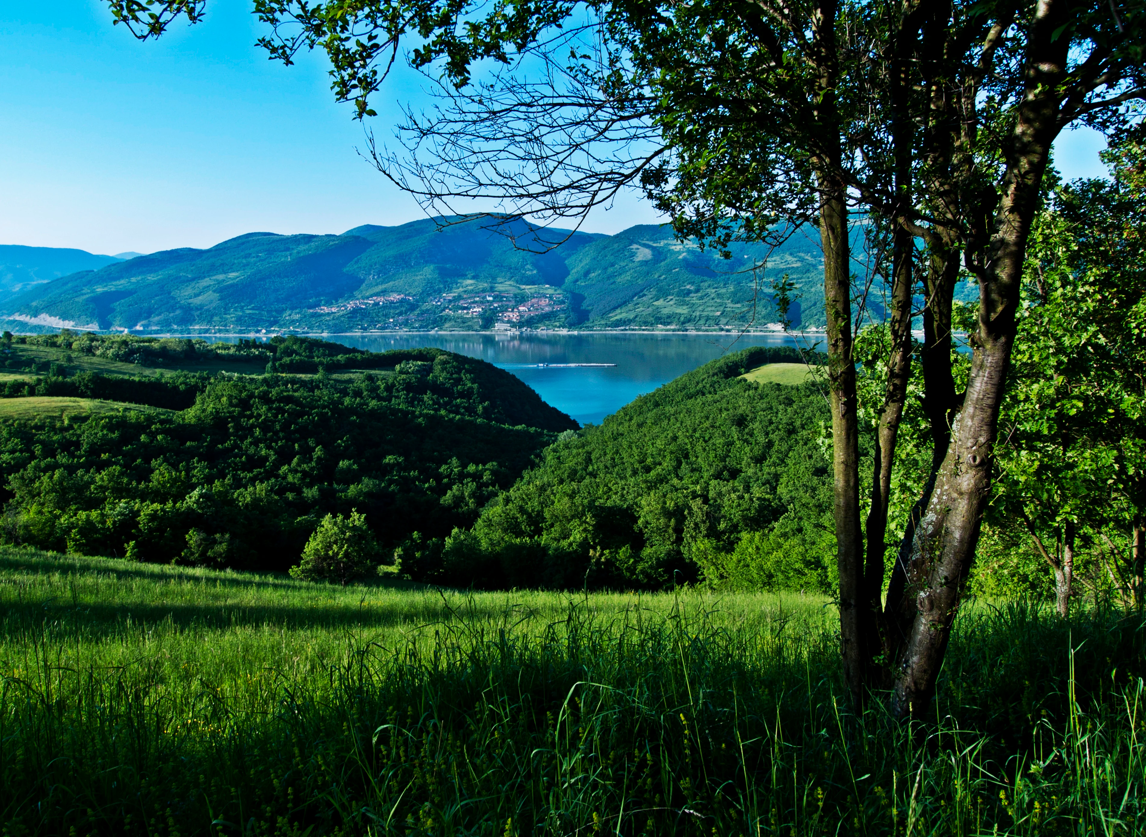 Green meadows, trees, a river, and mountains under a clear blue sky