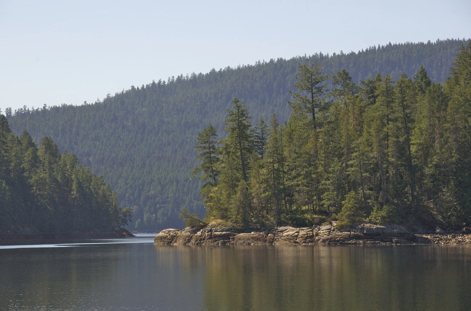 A calm, reflective inlet surrounded by dense coniferous forest and rocky shoreline, with a forested hillside in the background.