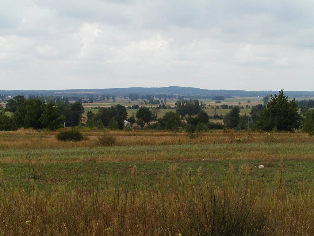 Una vista amplia del paisaje con campos ondulados en primer plano, árboles dispersos en el plano medio y una colina boscosa distante bajo un cielo nublado.