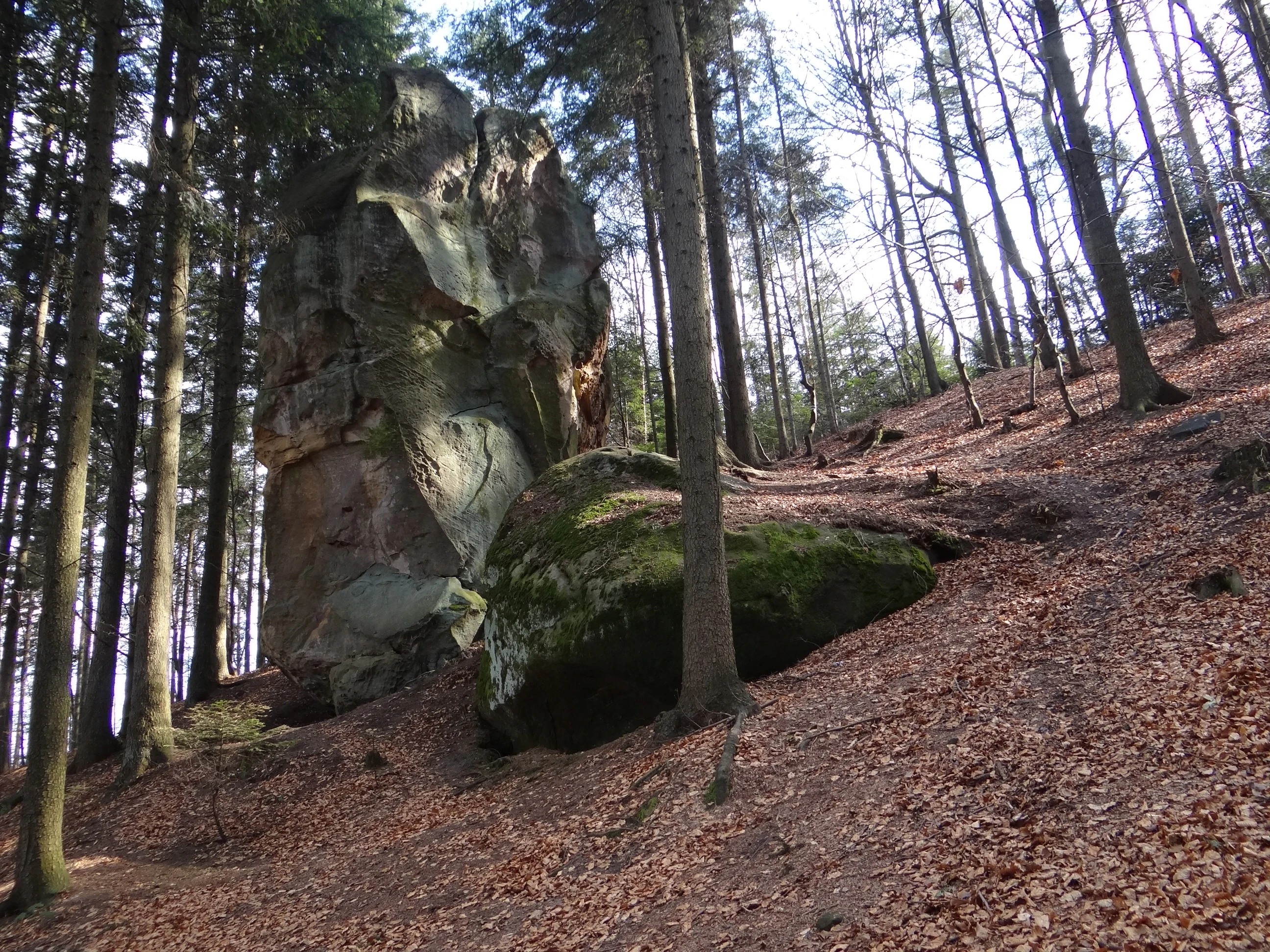 A large, weathered sandstone rock formation towers over a forest floor covered in autumn leaves.