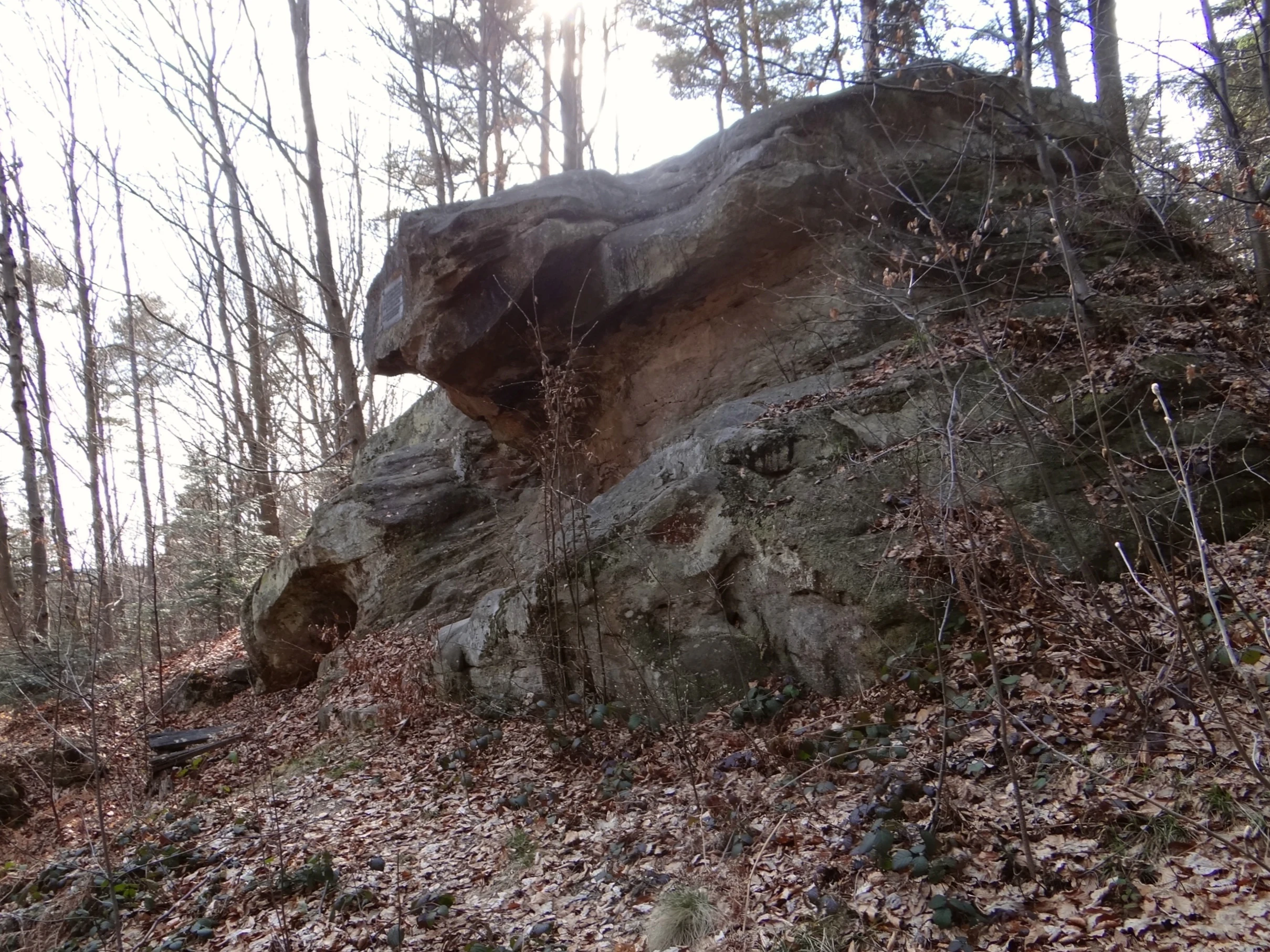 A large, weathered sandstone rock formation with a protruding ledge, situated in a forest with leaf-covered ground.
