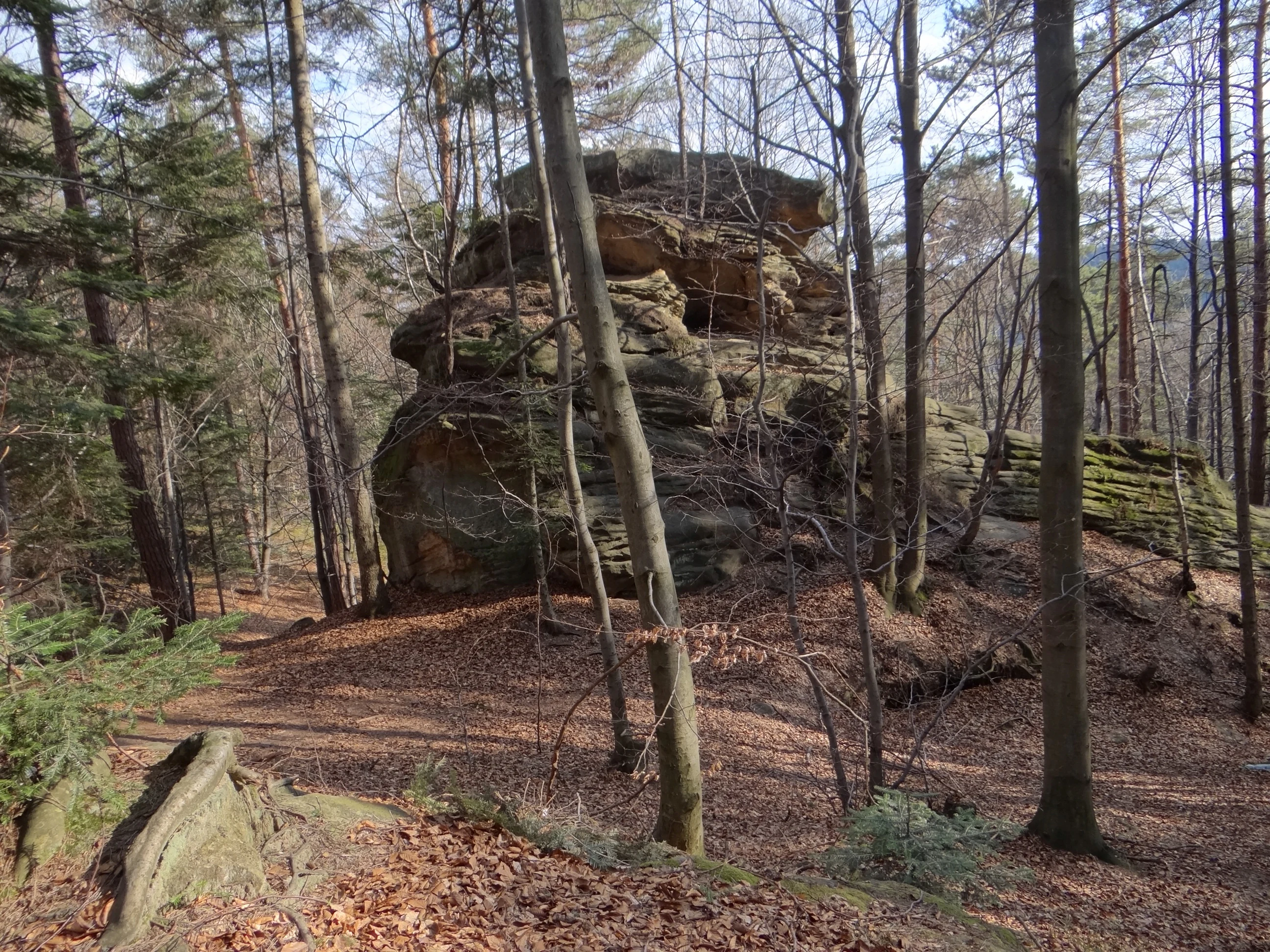 A weathered mushroom shaped sandstone rock formation standing in a forest with dry leaves on the ground.