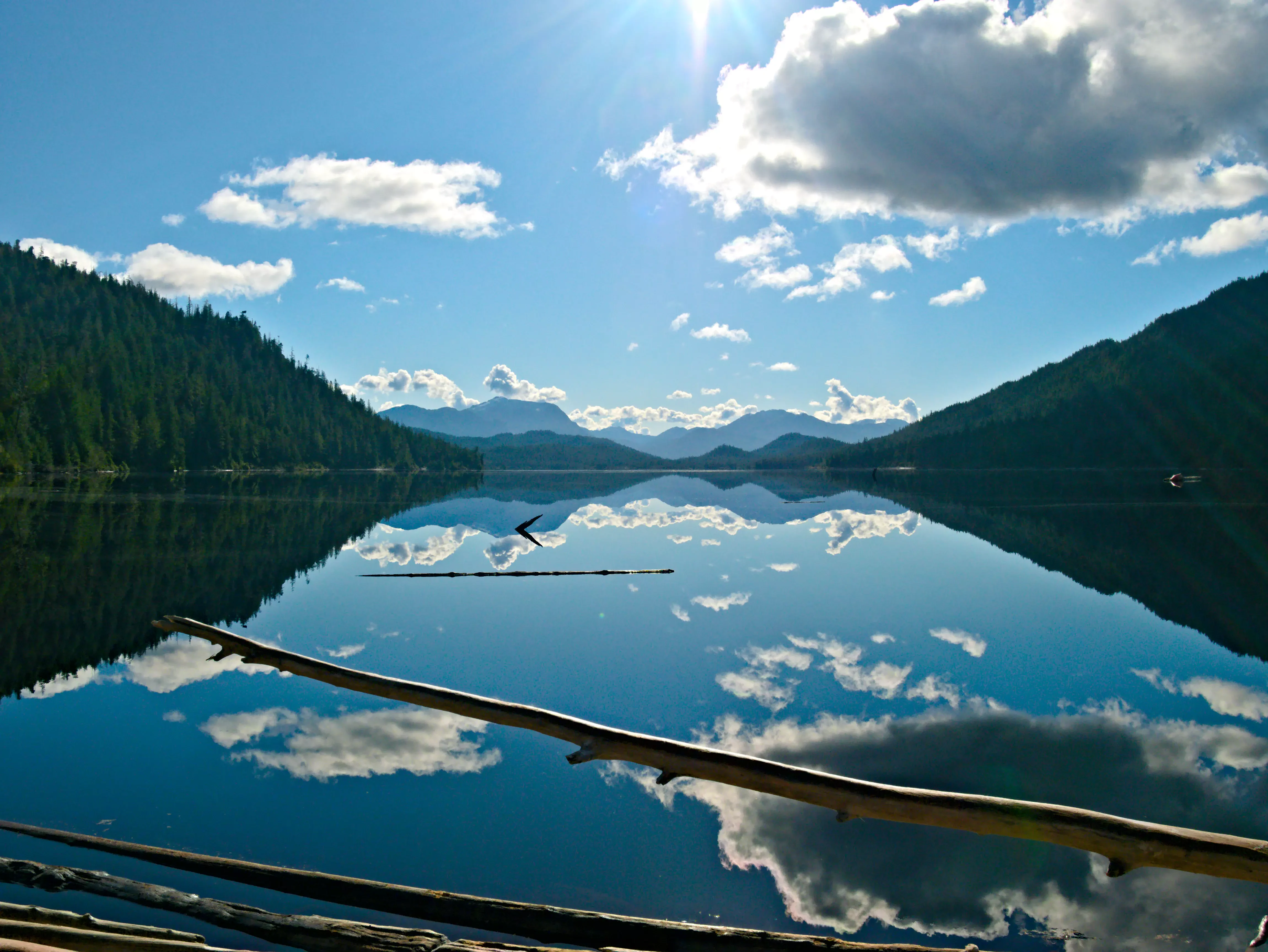 A wide, scenic view of a calm, reflective lake surrounded by dark evergreen forest and mountains in the distance, with a fallen tree branch in the foreground.