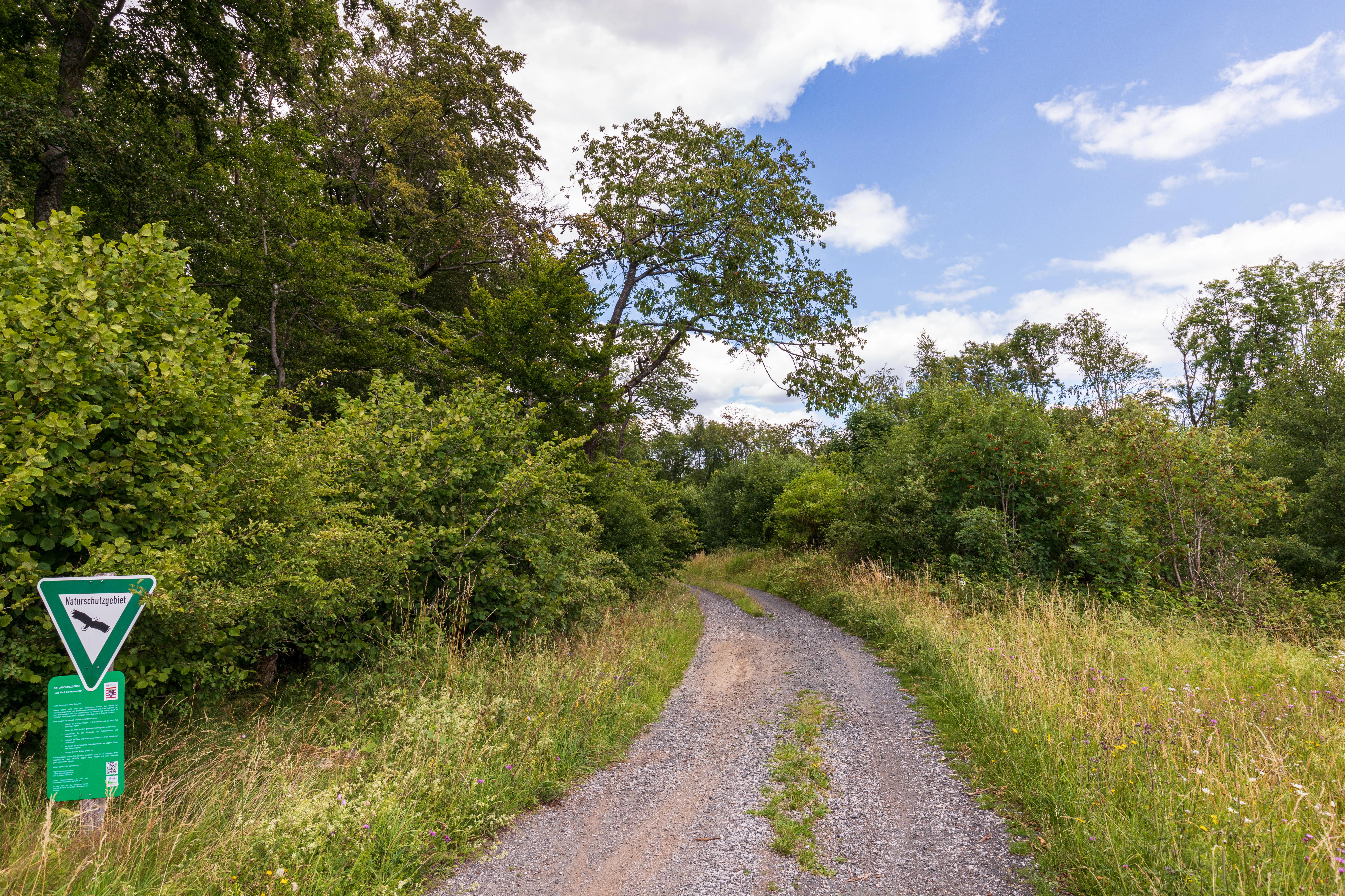 A gravel path winds into a deciduous forest, with a green nature reserve sign on a post in the left foreground.