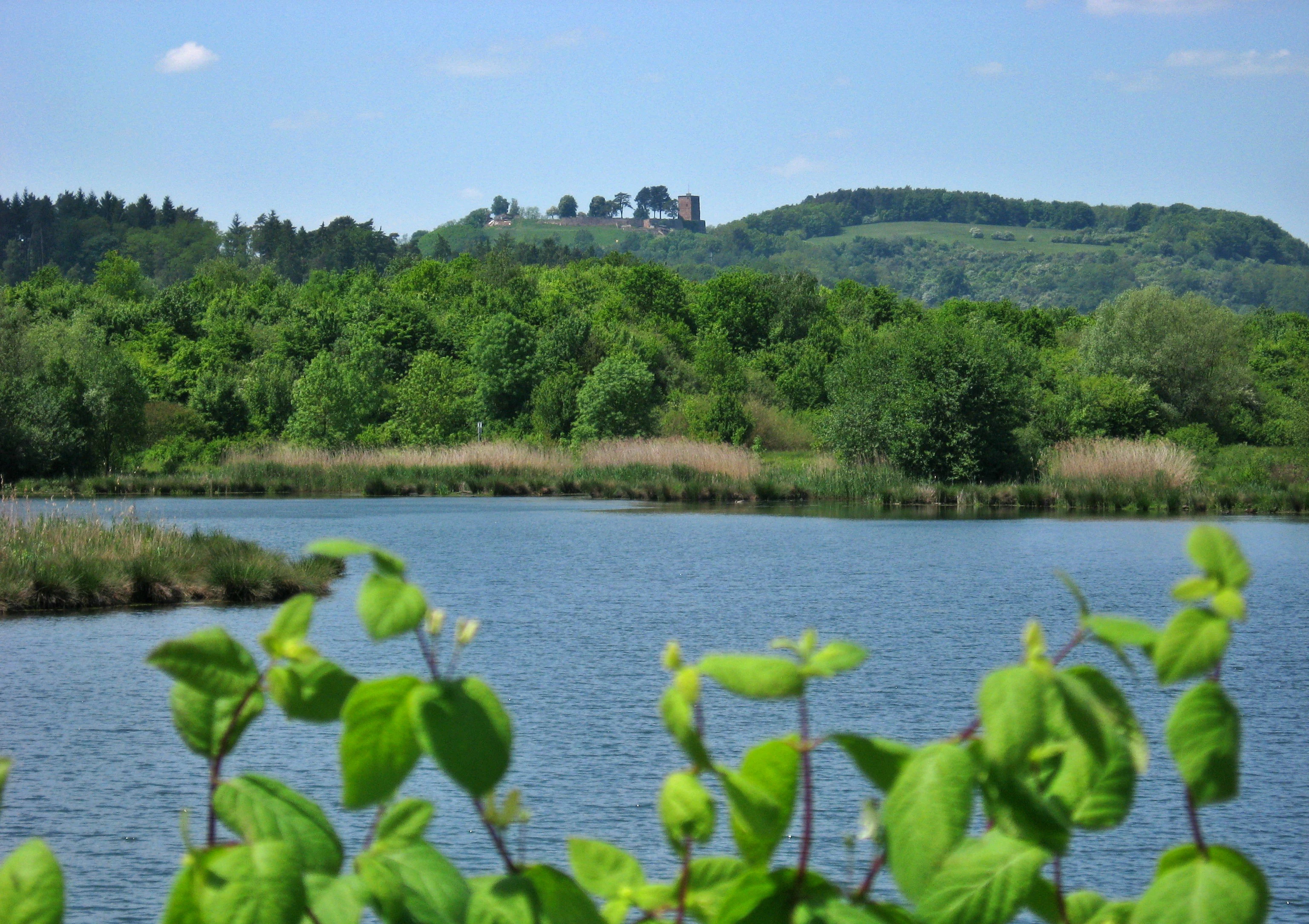A calm lake in the foreground, with lush green trees and reeds on the bank and a distant hill topped with historic stone castle ruins under a clear blue sky.