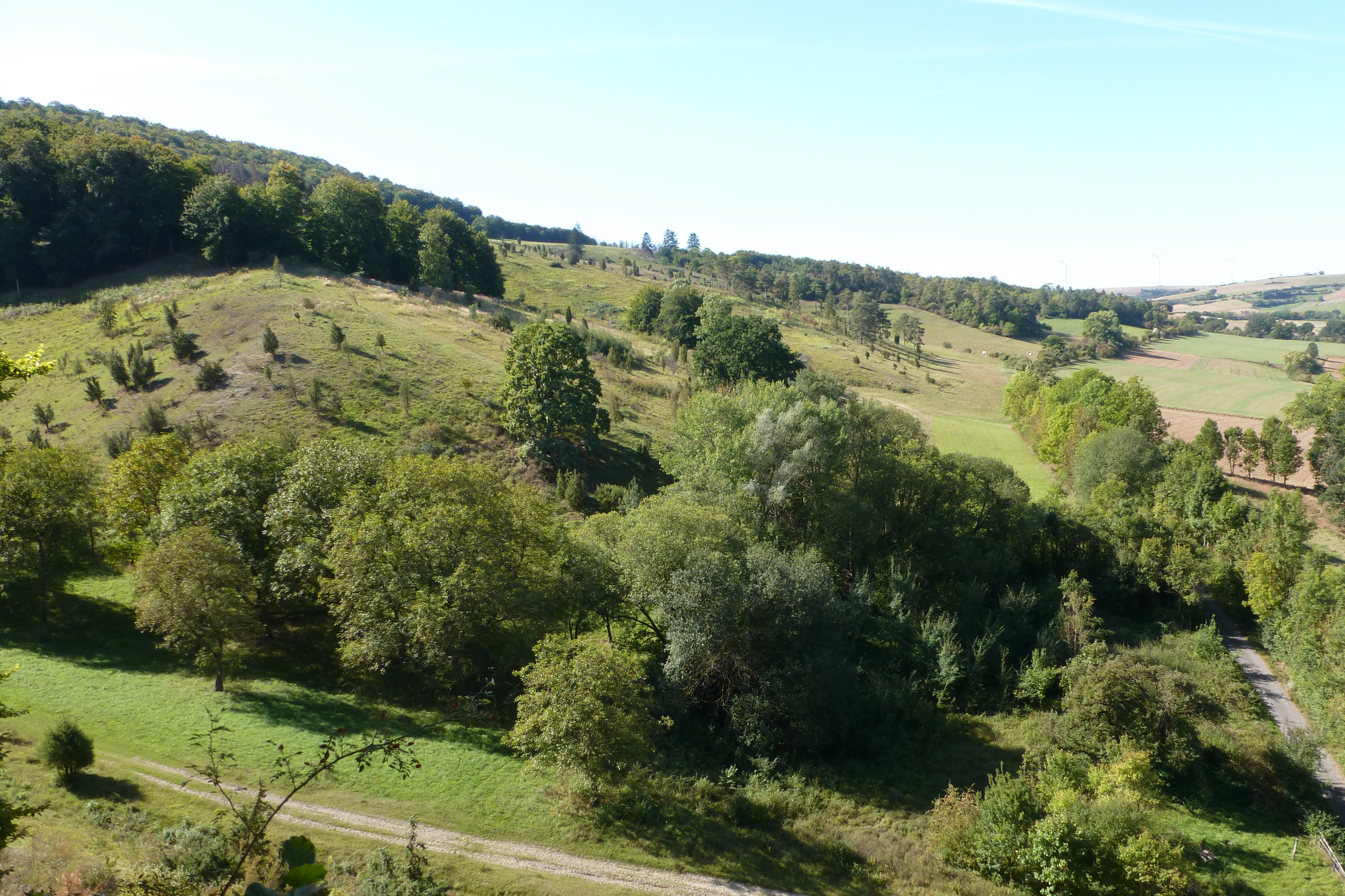 A wide angle view of a rolling green landscape in Hesse, Germany, featuring scattered trees, patches of forest, and grassy slopes under a clear blue sky.