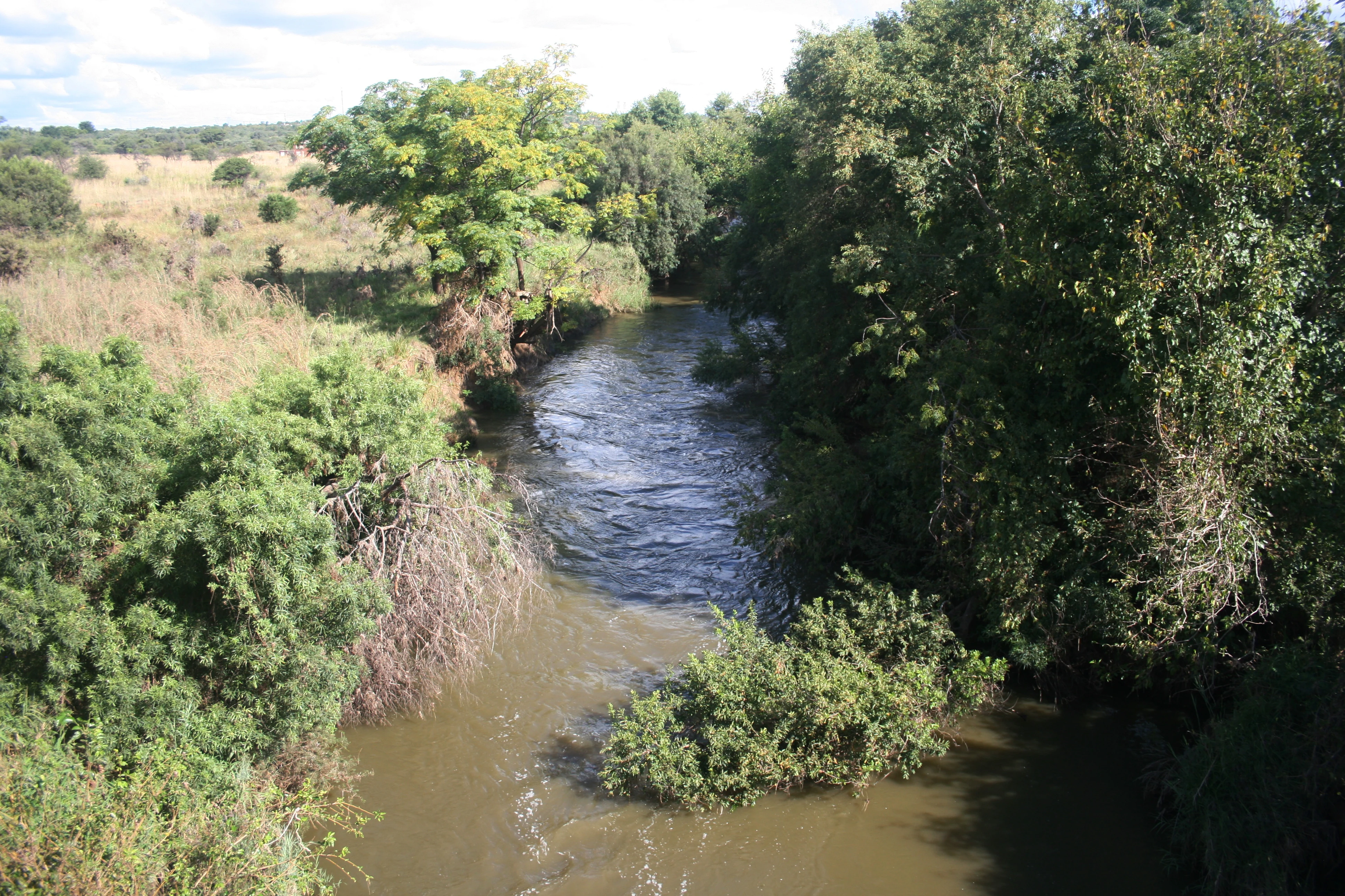 A view of the Pienaars River winding through dense riparian vegetation and bushveld in Dinokeng Game Reserve.