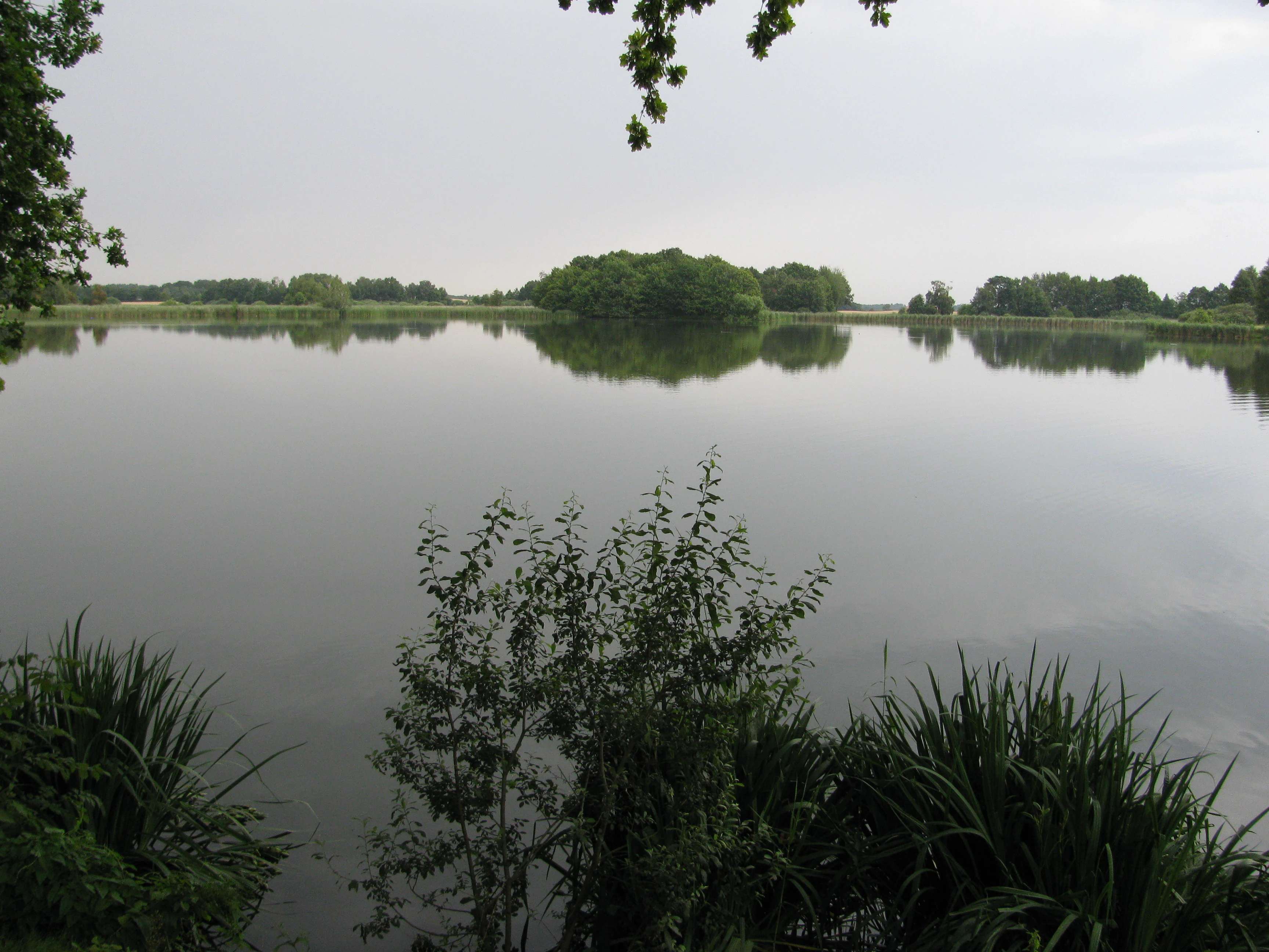 A wide, calm pond with reflective water surrounded by green trees and shrubs on an overcast day.