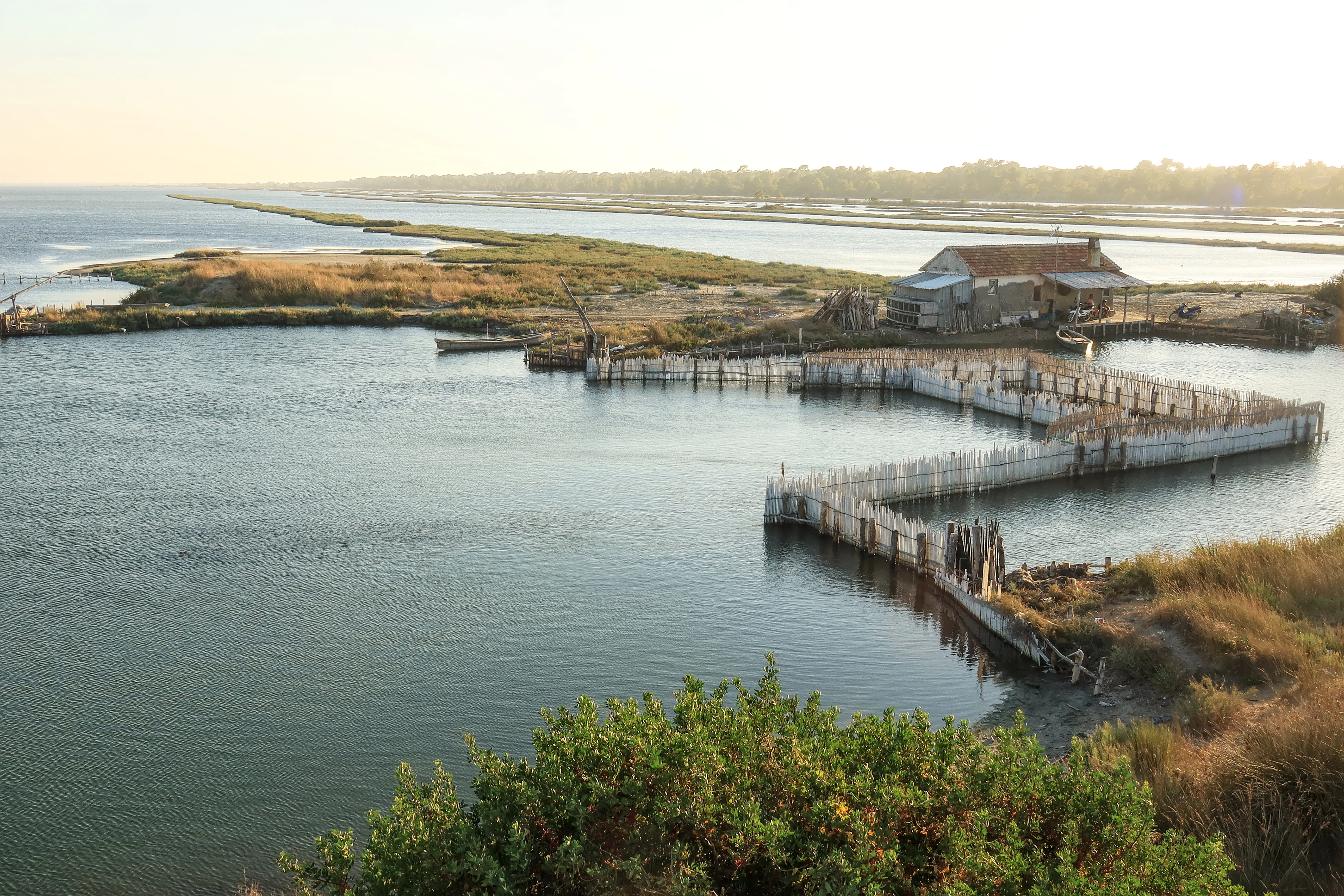 A fisherman's house with a wooden pier extending into Karavasta Lagoon, surrounded by wetland vegetation and open water
