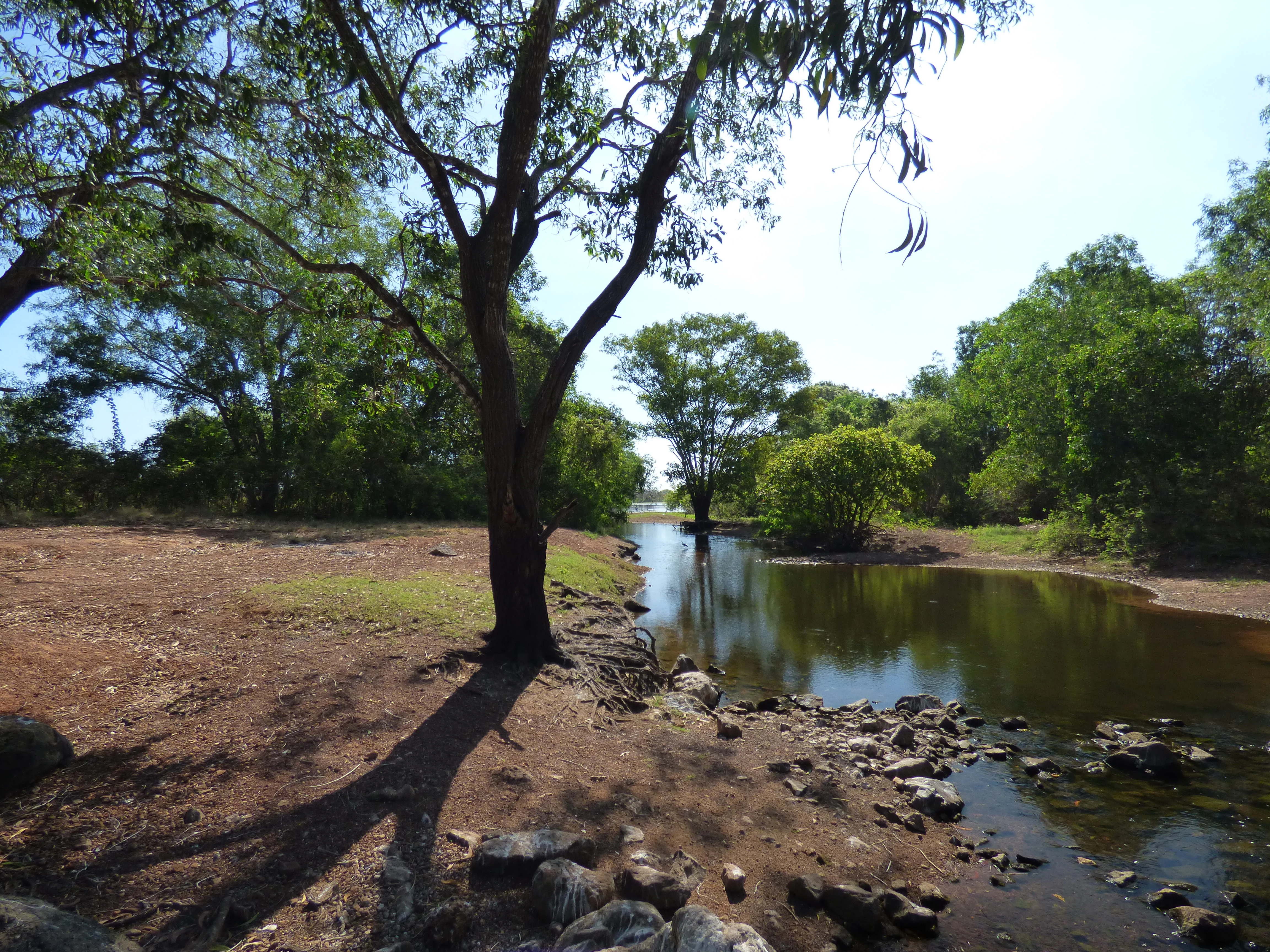 Shallow watercourse bordered by rocky shore and dirt path, surrounded by trees and open land under clear sky