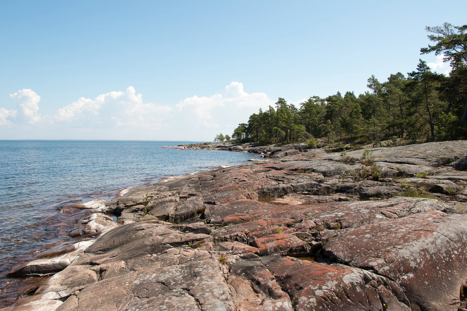 Rocky shoreline with scattered boulders along a calm lake, bordered by dense forest and clear blue sky