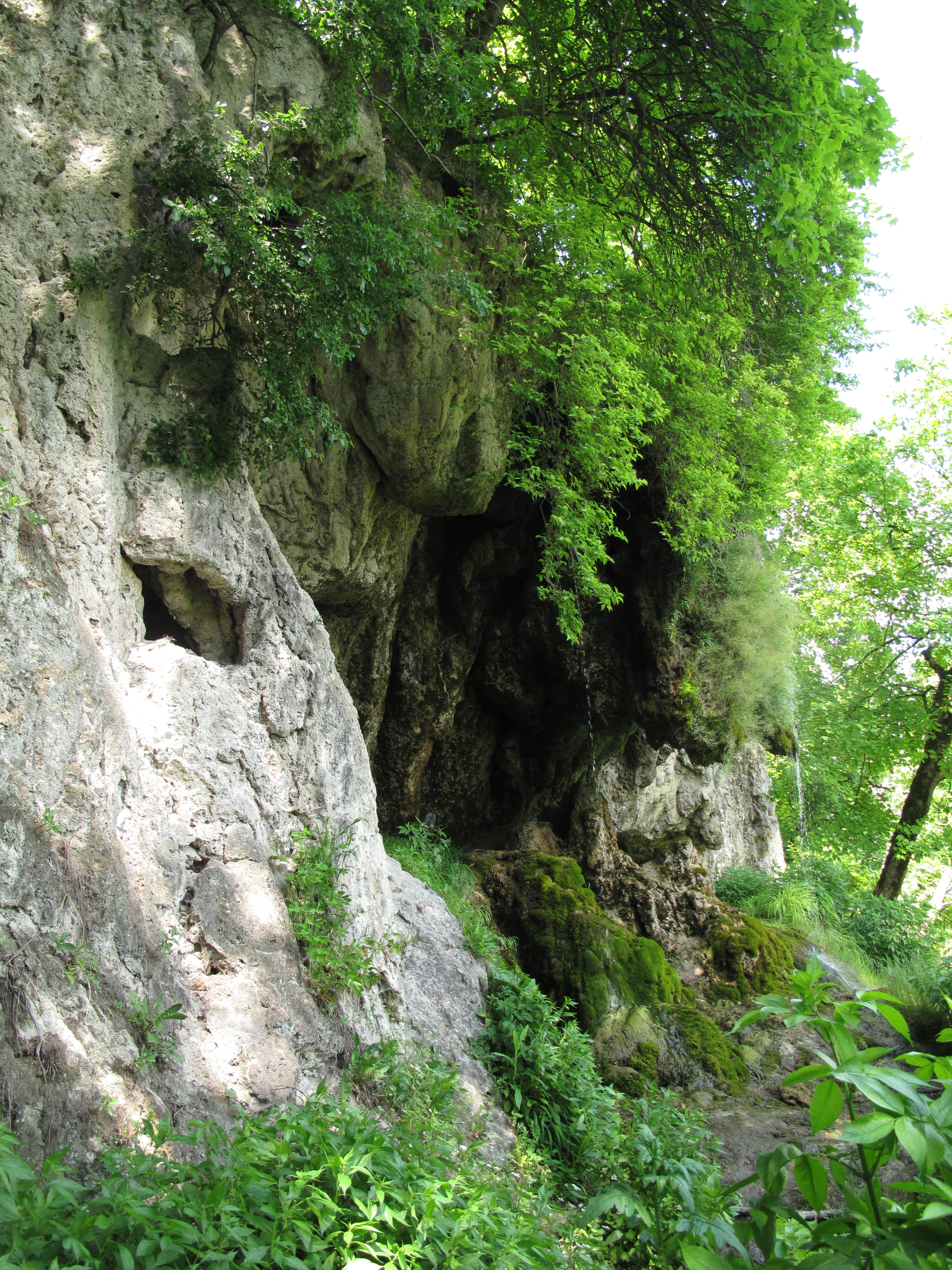 Rocky cliff face with green vegetation, a small waterfall, and a cave-like opening