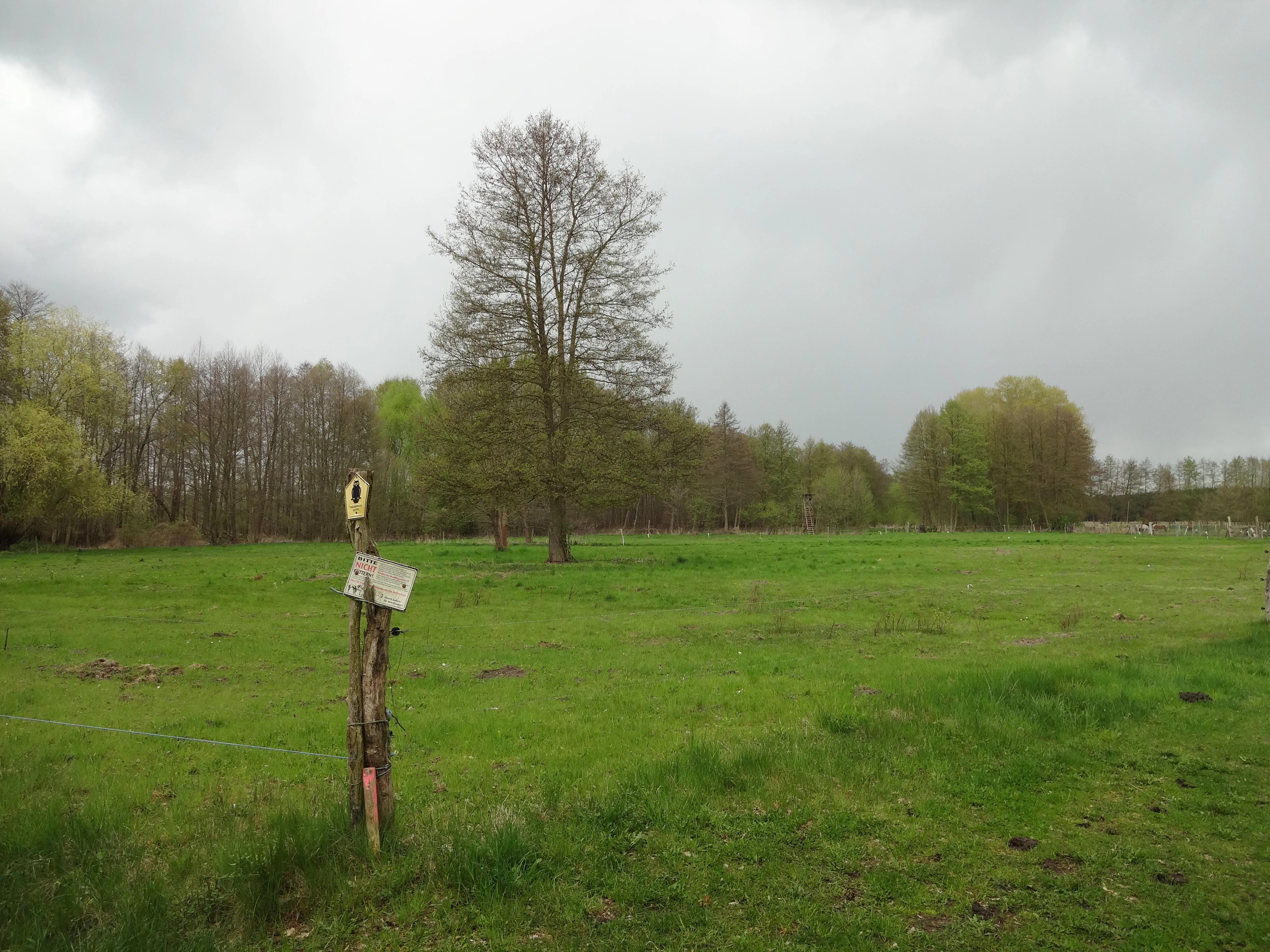 A rustic wooden post with a trail marker sign stands in the foreground of a grassy field, with a line of trees in the background under an overcast sky.