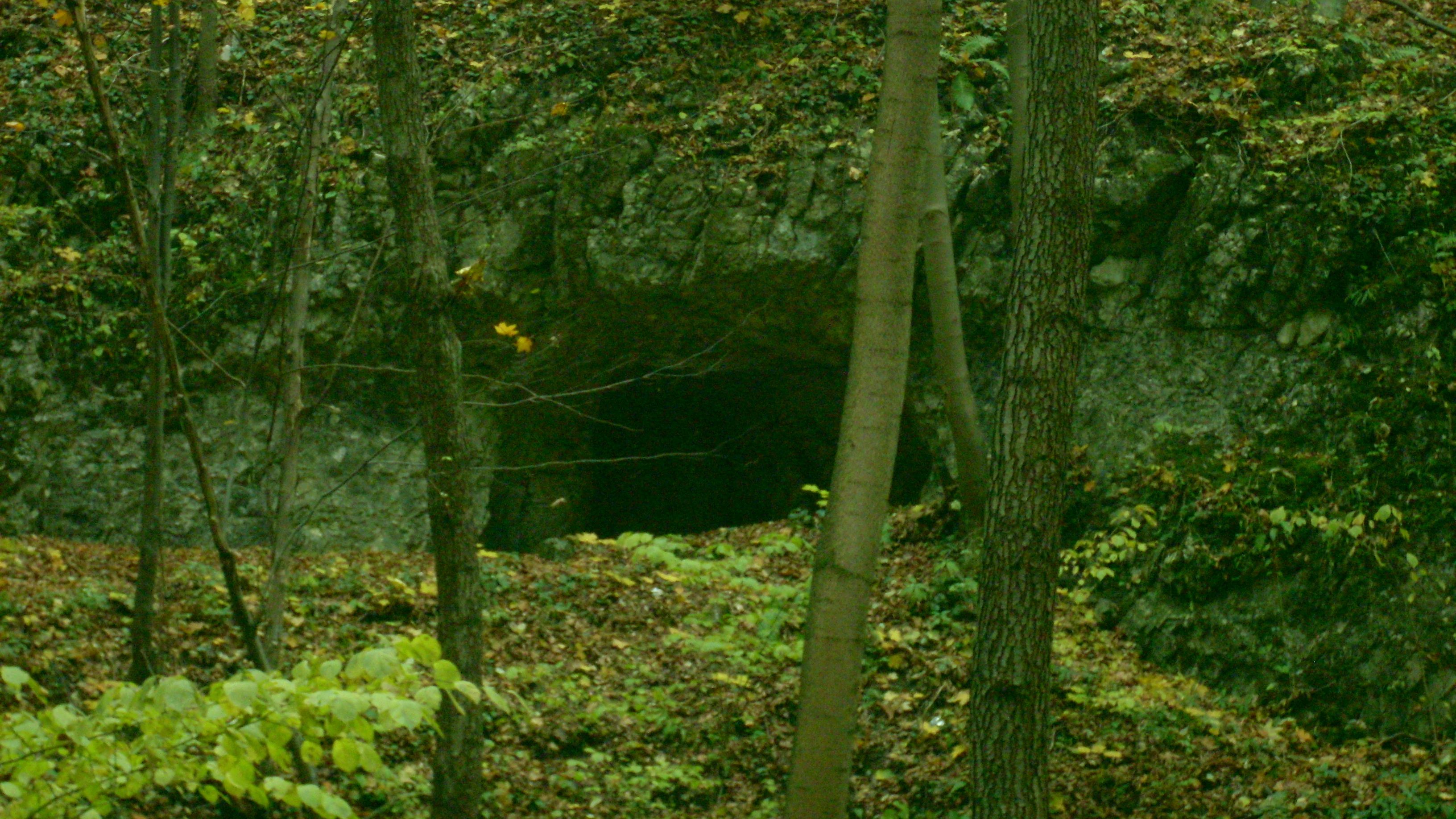 The dark entrance of Hieronim Cave situated in a forested limestone valley, surrounded by deciduous trees and leaf litter.