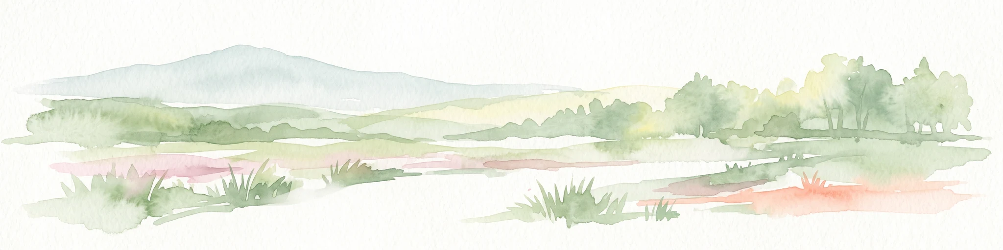 A soft watercolor illustration of a rural landscape with rolling hills, a green forest line, and marshy foreground vegetation.