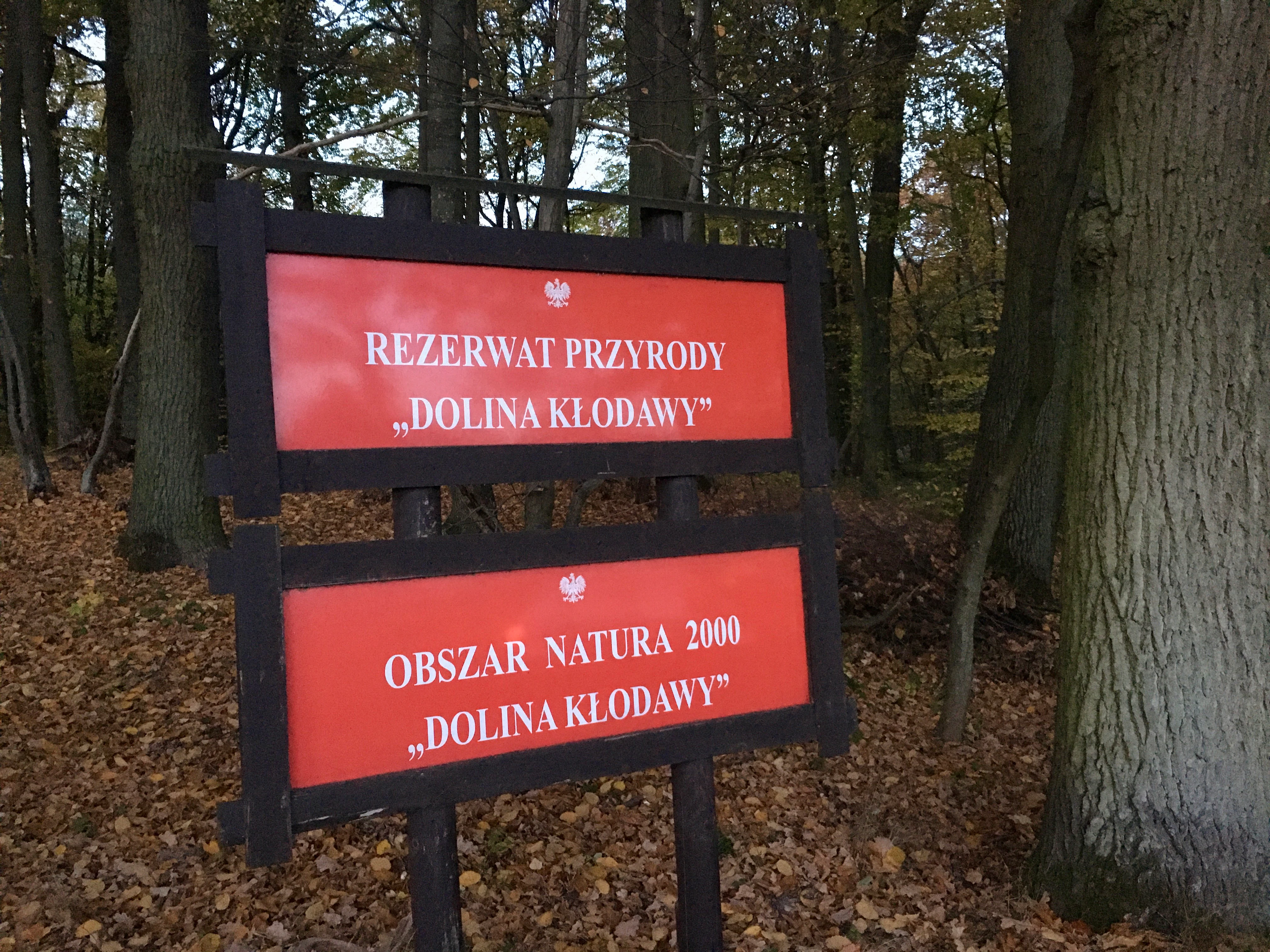 A wooden signpost in a forest featuring two red rectangular signs with white text reading 'REZERWAT PRZYRODY DOLINA KŁODAWY' and 'OBSZAR NATURA 2000 DOLINA KŁODAWY'.