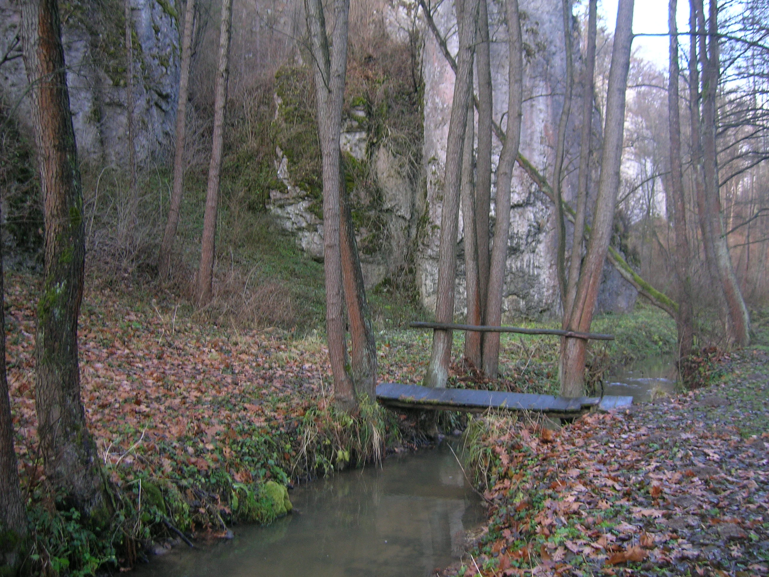 A small, narrow stream flows through a woodland setting with limestone rock faces visible in the background and a simple wooden footbridge crossing the water.