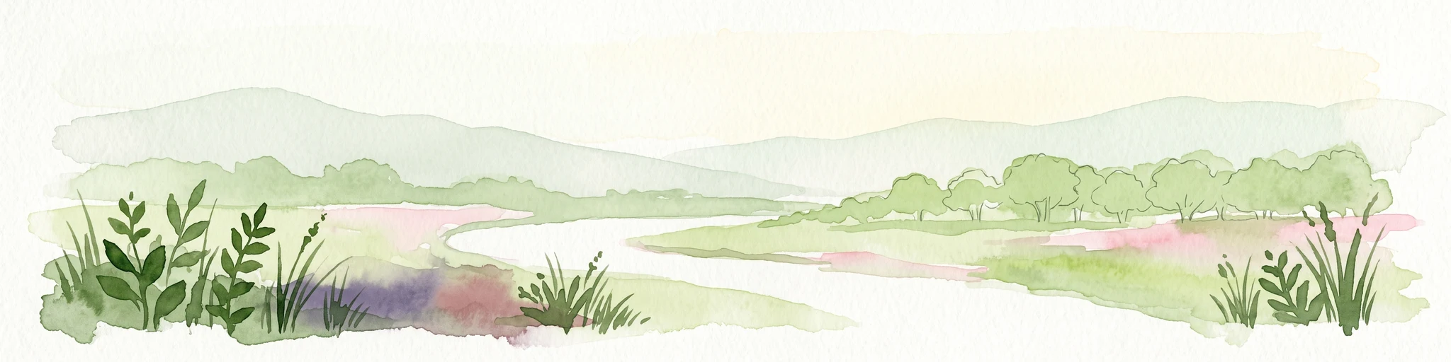 Una ilustración horizontal en acuarela que muestra un río tranquilo fluyendo a través de un valle verde exuberante con colinas onduladas a lo lejos y hierbas silvestres en primer plano.