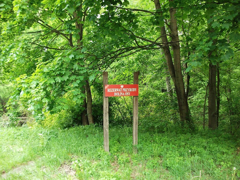 A rectangular red sign with white text reading Rezerwat przyrody Dolina Osy mounted on two wooden posts in a green, wooded area.