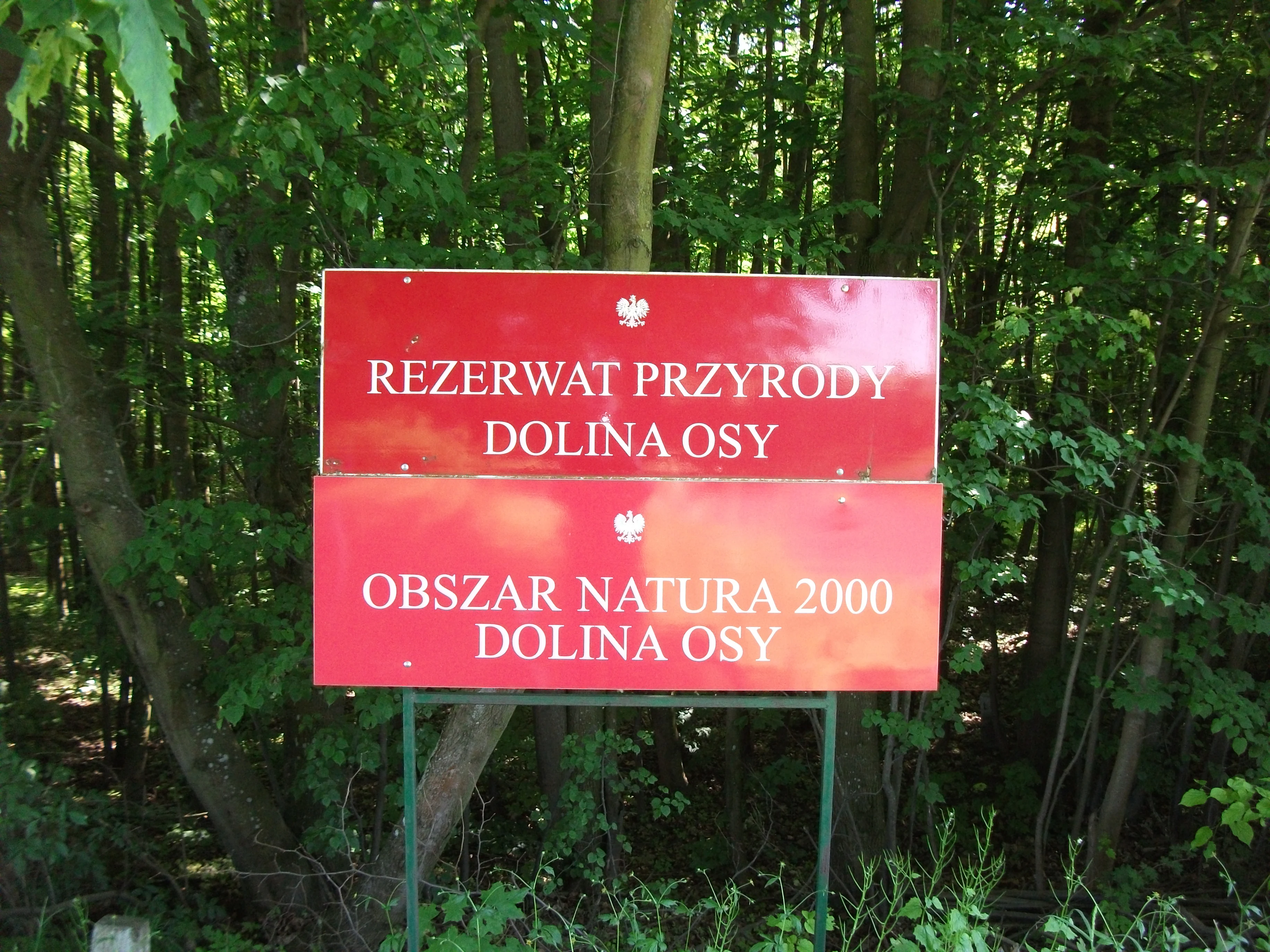 A red rectangular sign with white Polish text identifying the site as Rezerwat przyrody Dolina Osy and Obszar Natura 2000 Dolina Osy, set against a background of green forest trees.