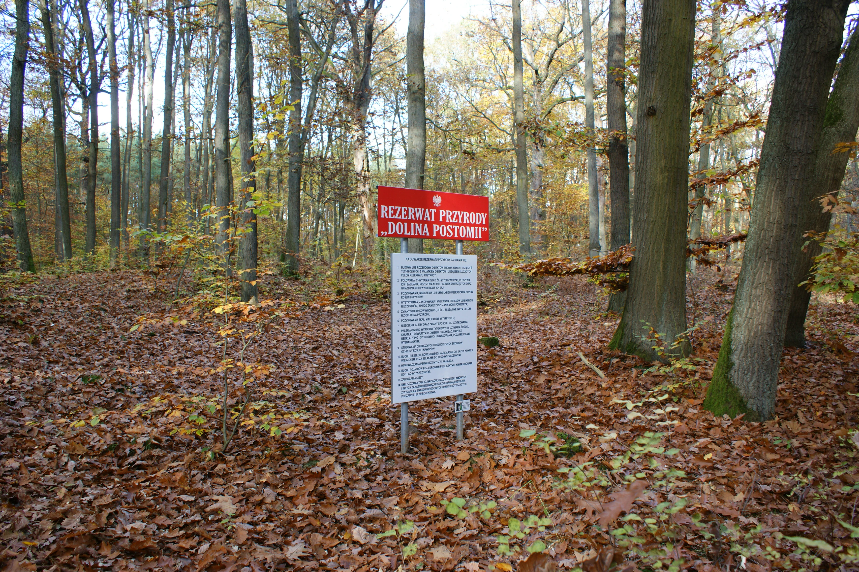 A red and white information sign stands in the middle of a forest floor covered with autumn leaves, marking the Dolina Postomii Nature Reserve.