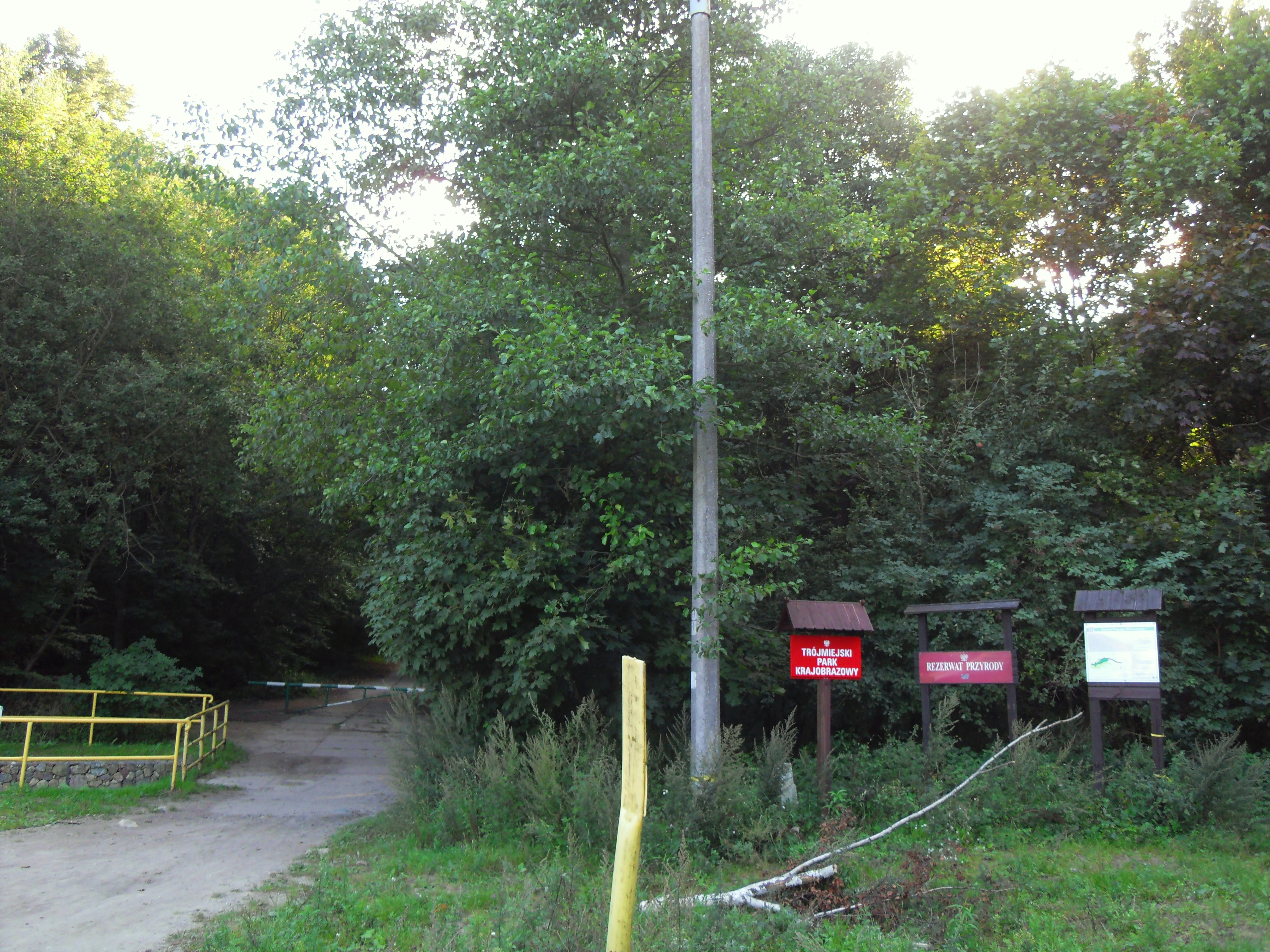 A dirt path leading into a dense green forest, marked by a cluster of information signs on the right side and a yellow metal railing on the left.