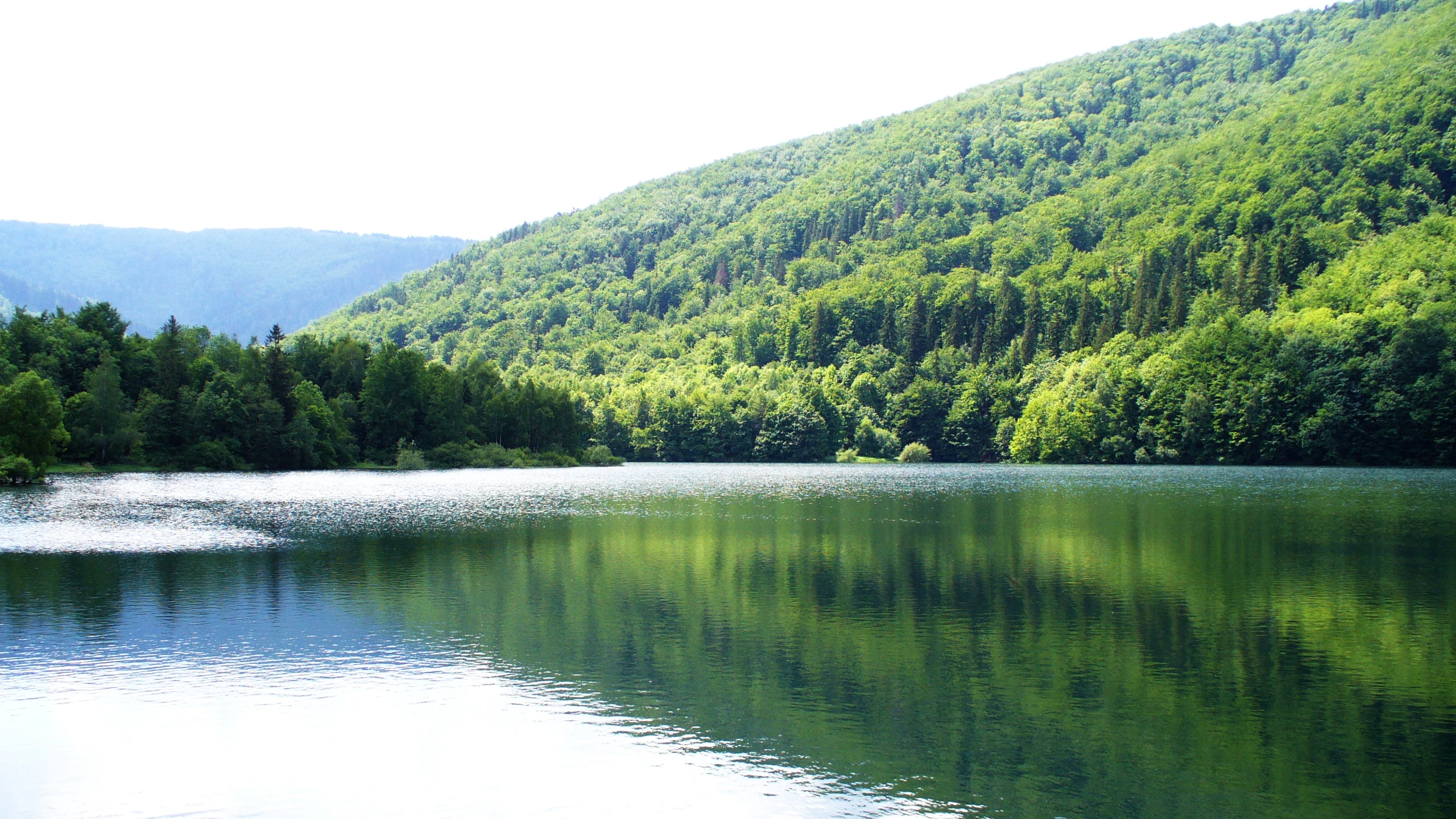 A wide, calm reservoir reflecting the dense green hills and forest that surround it, under bright daylight.