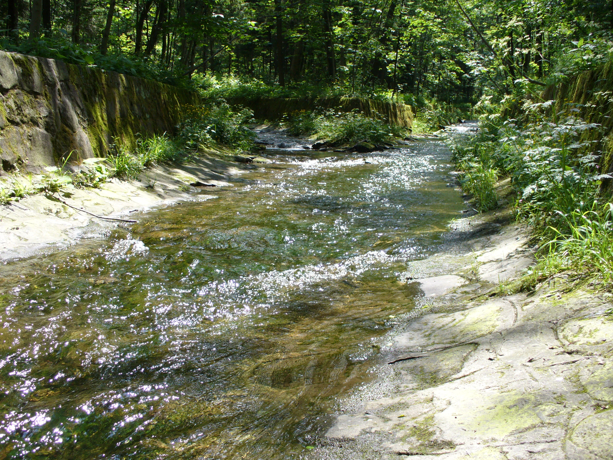 A shallow, clear stream flows through a forest, constrained by mossy stone embankments on either side.