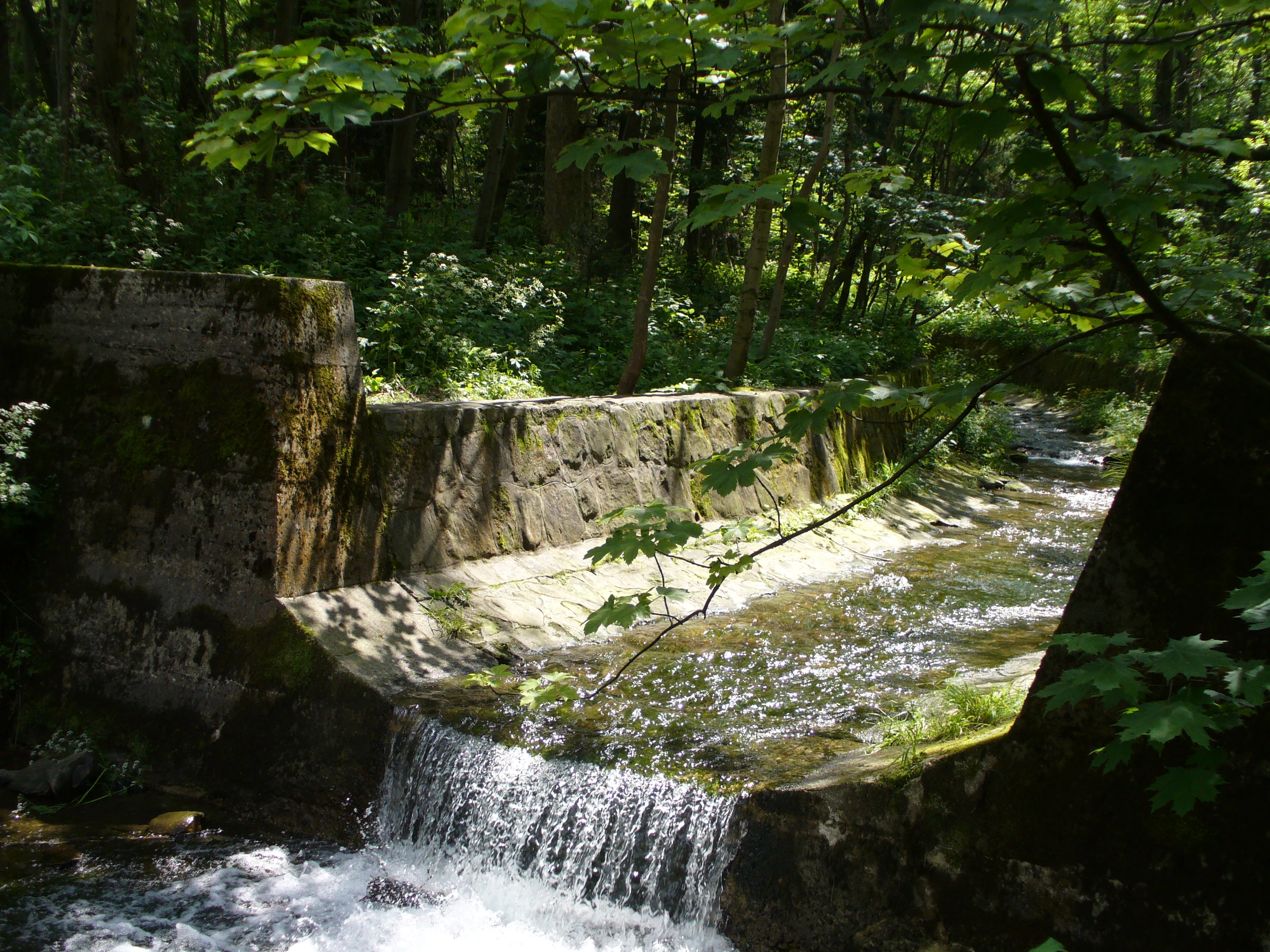 A small stone waterfall or weir on a forest river, with sunlight filtering through tree leaves in the background.