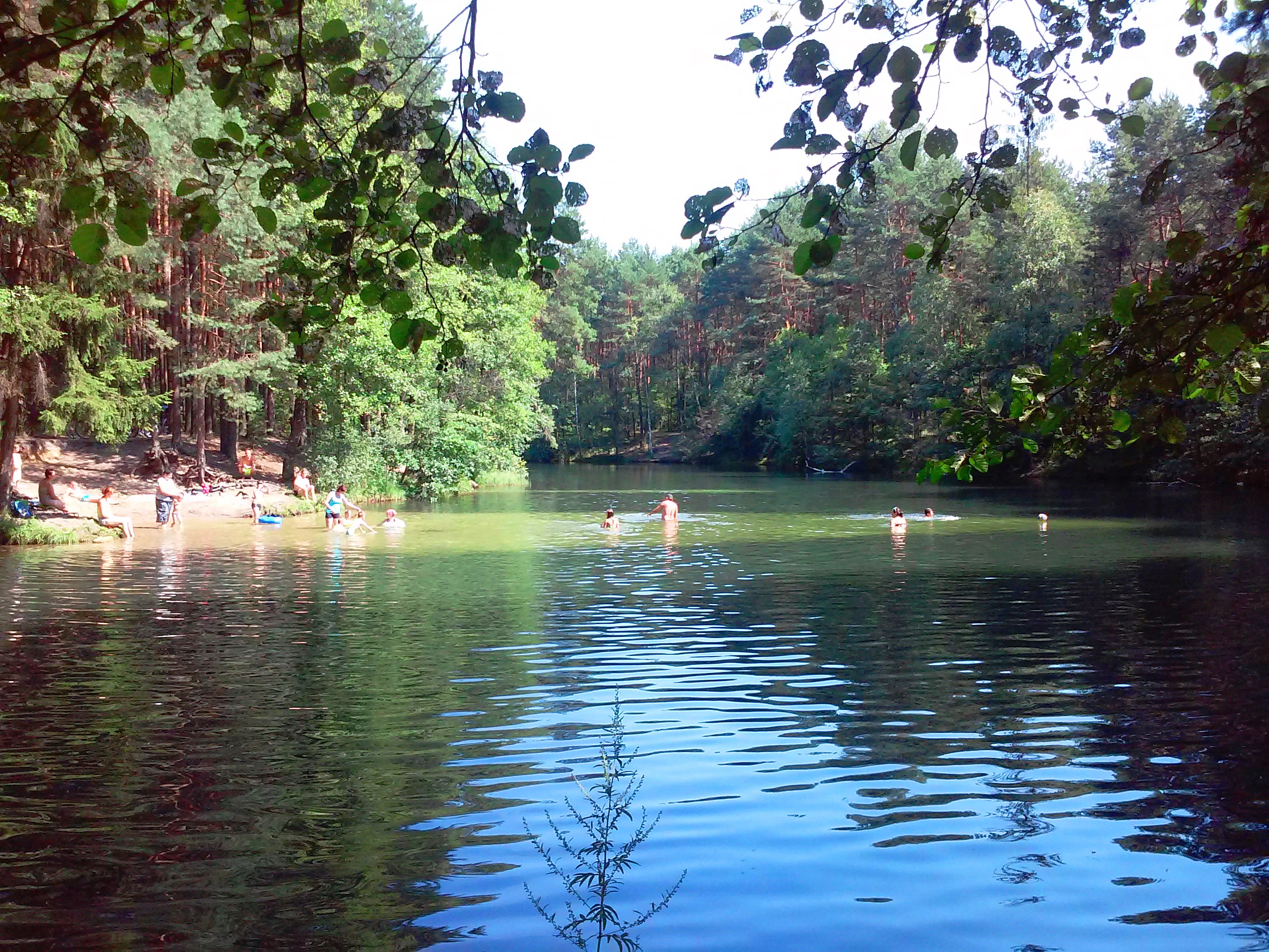 A calm, forest-lined pond with people swimming and sitting on a sandy bank under overhanging tree branches.