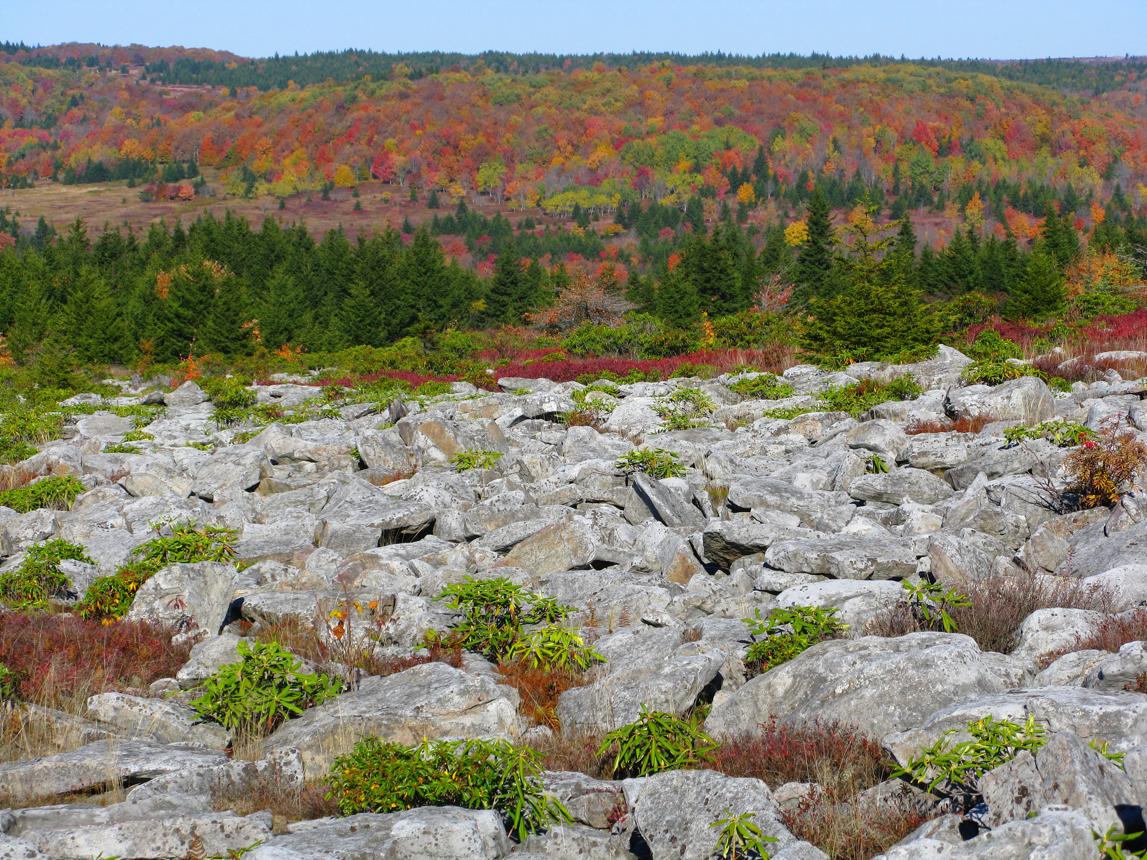 A foreground of grey, mossy boulders scattered across a clearing, with a vibrant autumn forest of red, orange, and green trees in the background.