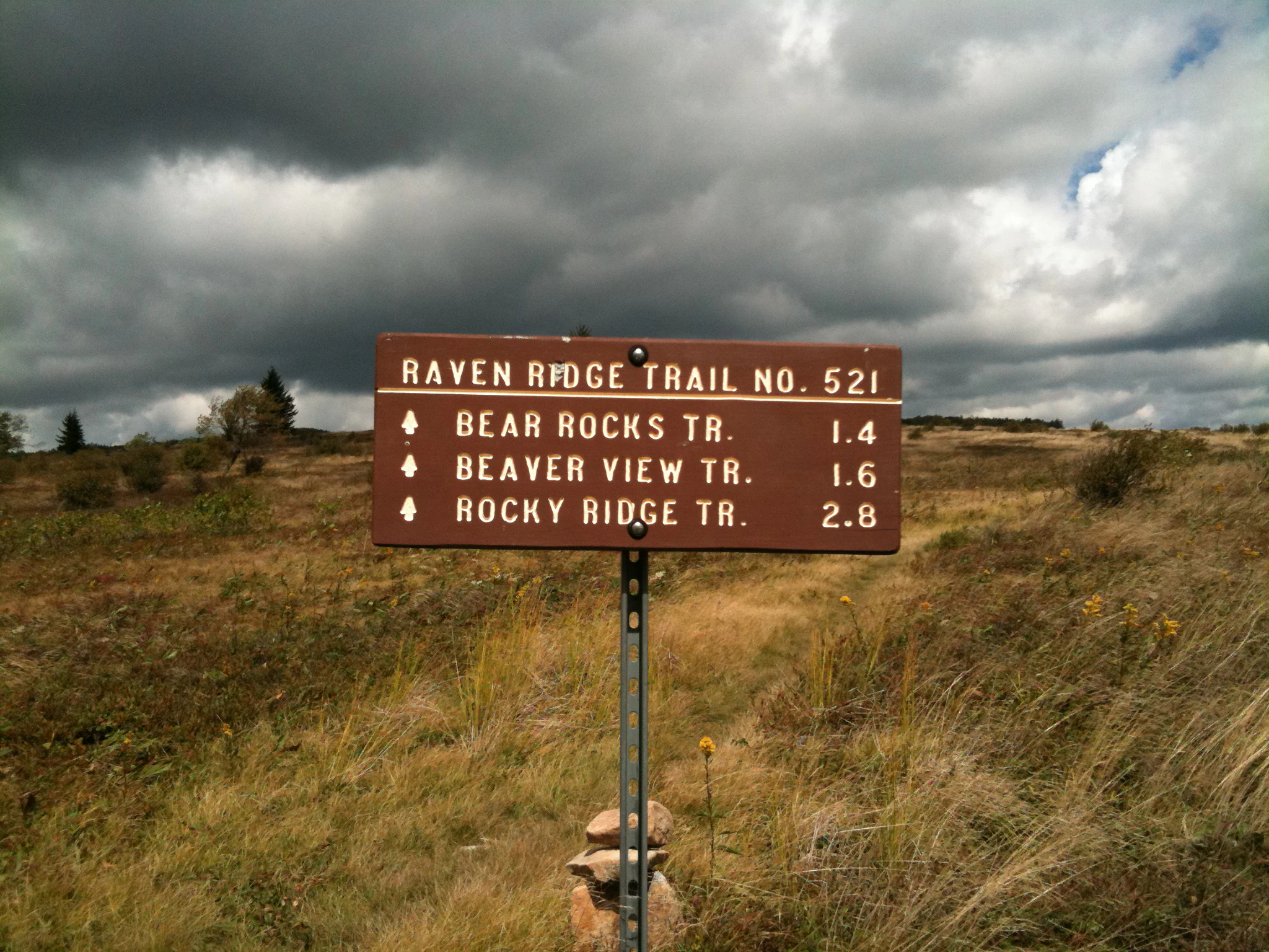 A brown U.S. Forest Service style trail sign standing in a grassy, open plateau area under a cloudy sky.