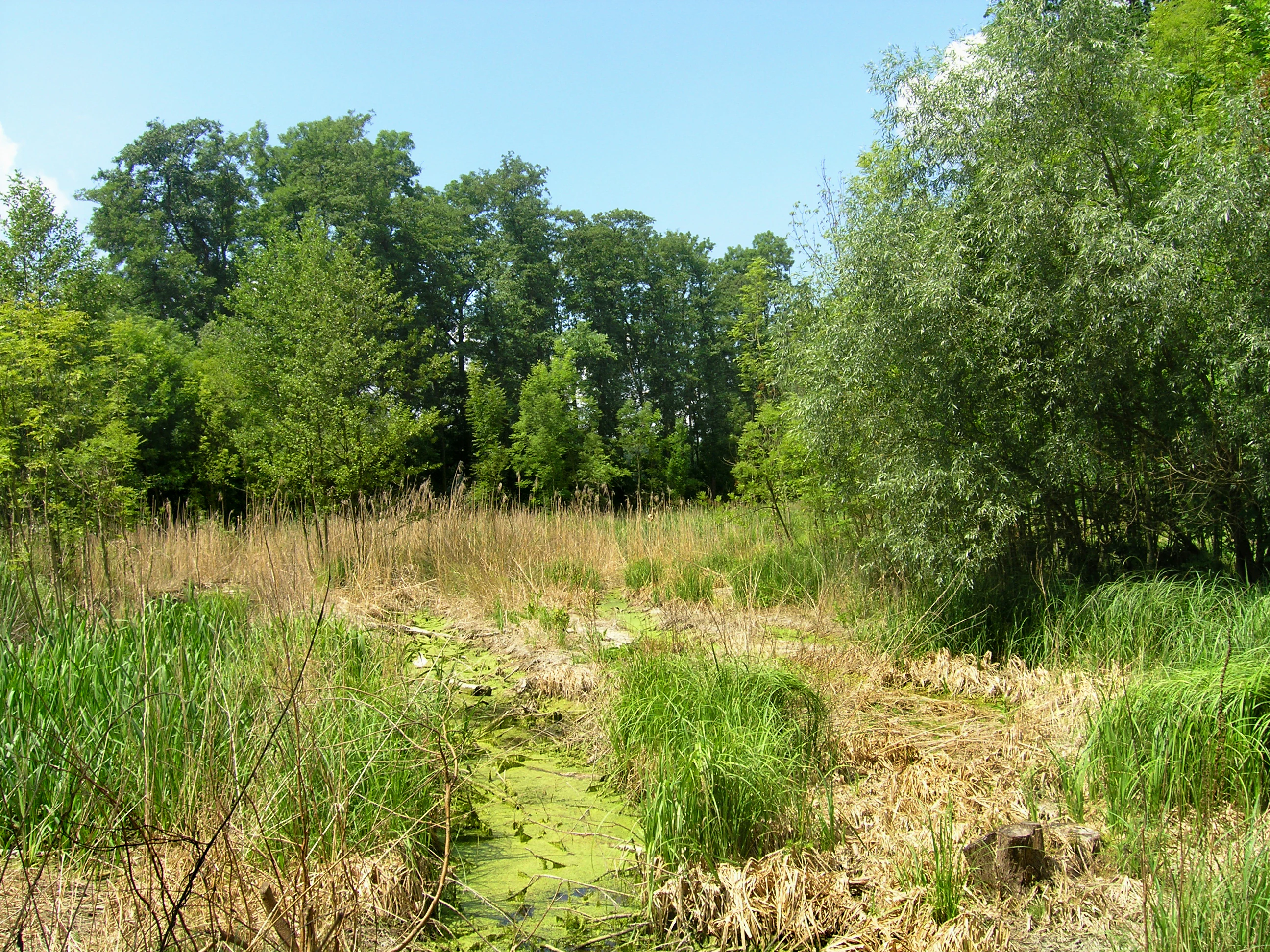 Pistecky les Nature Monument