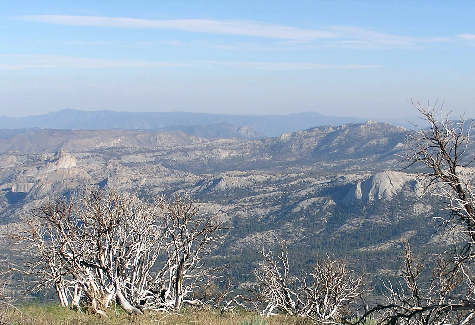 A high-angle, wide-angle view of mountainous, rocky terrain featuring multiple granite domes and sparse, dry, dead trees in the foreground, with distant hazy blue ridges.