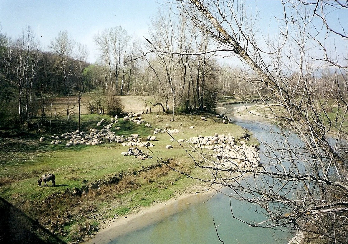 A river flowing through a grassy landscape with sheep and a horse on the bank, trees in the background