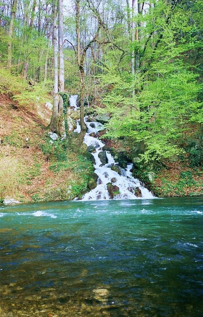 Clear river with a waterfall flowing over rocks, surrounded by dense green trees and forest terrain