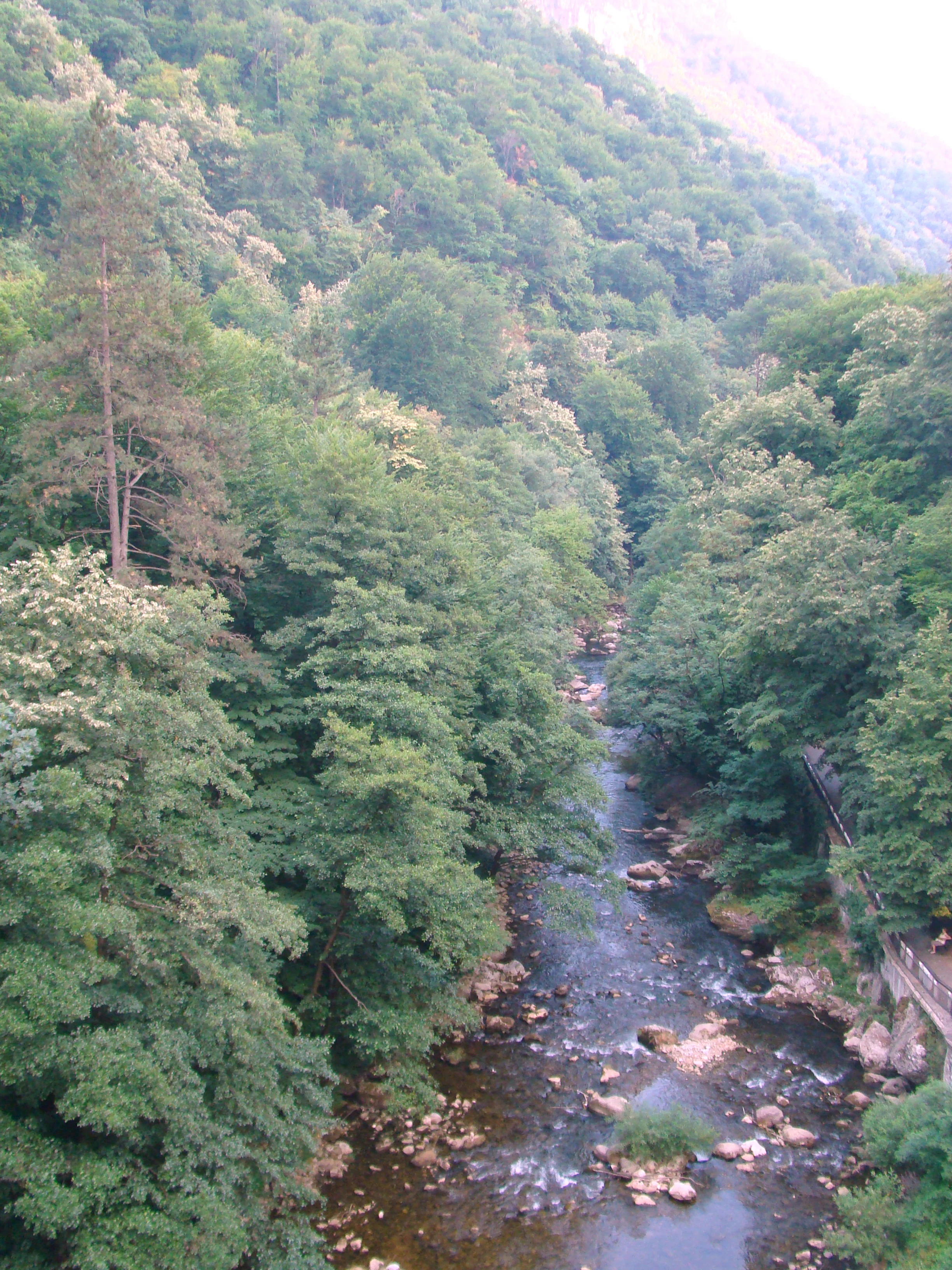 A river with brown water and rocky banks surrounded by dense green forest, with a small bridge visible on the right side