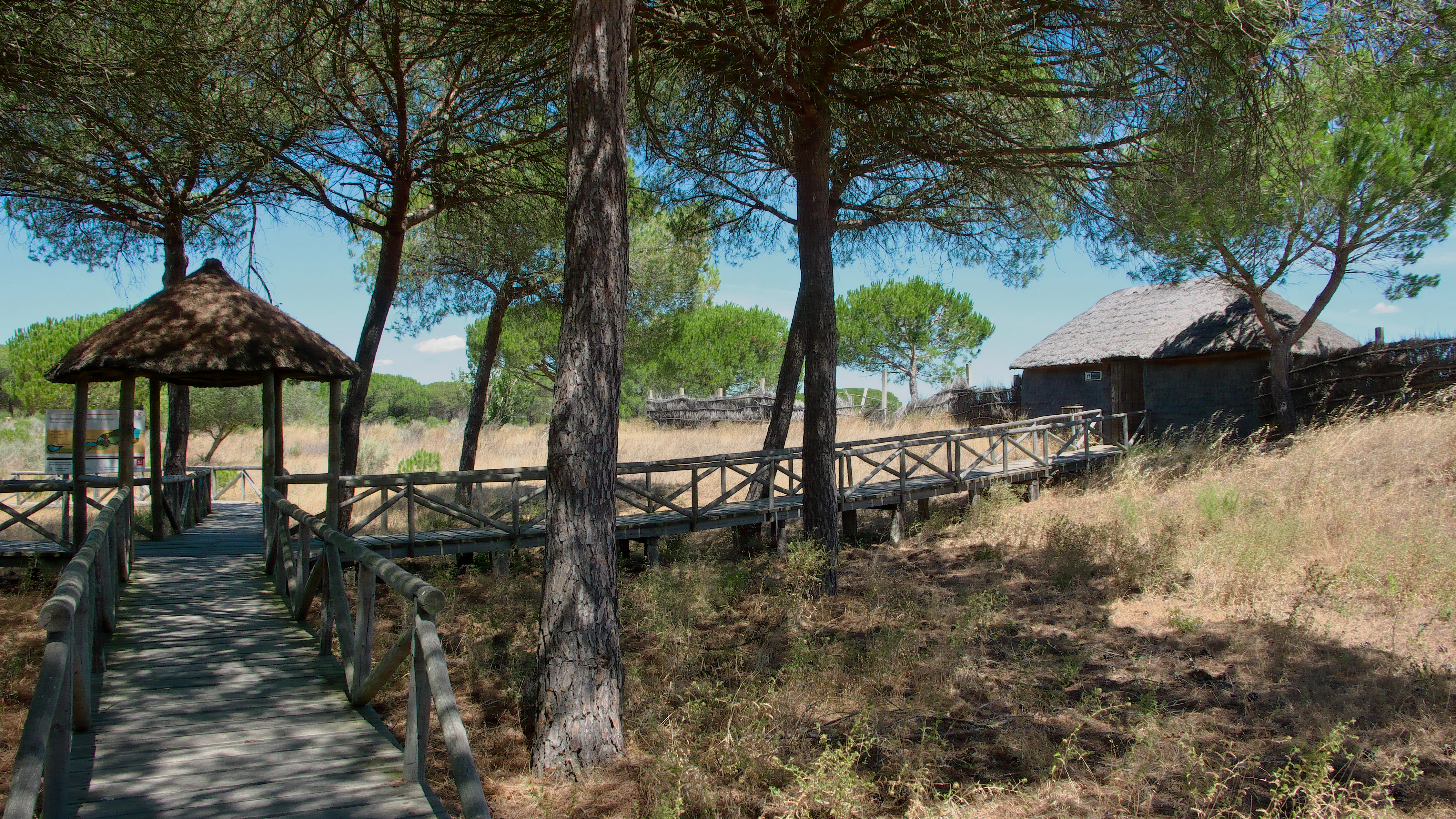 Wooden boardwalk with railing leading to a thatched-roof pavilion surrounded by trees, with a building in the background
