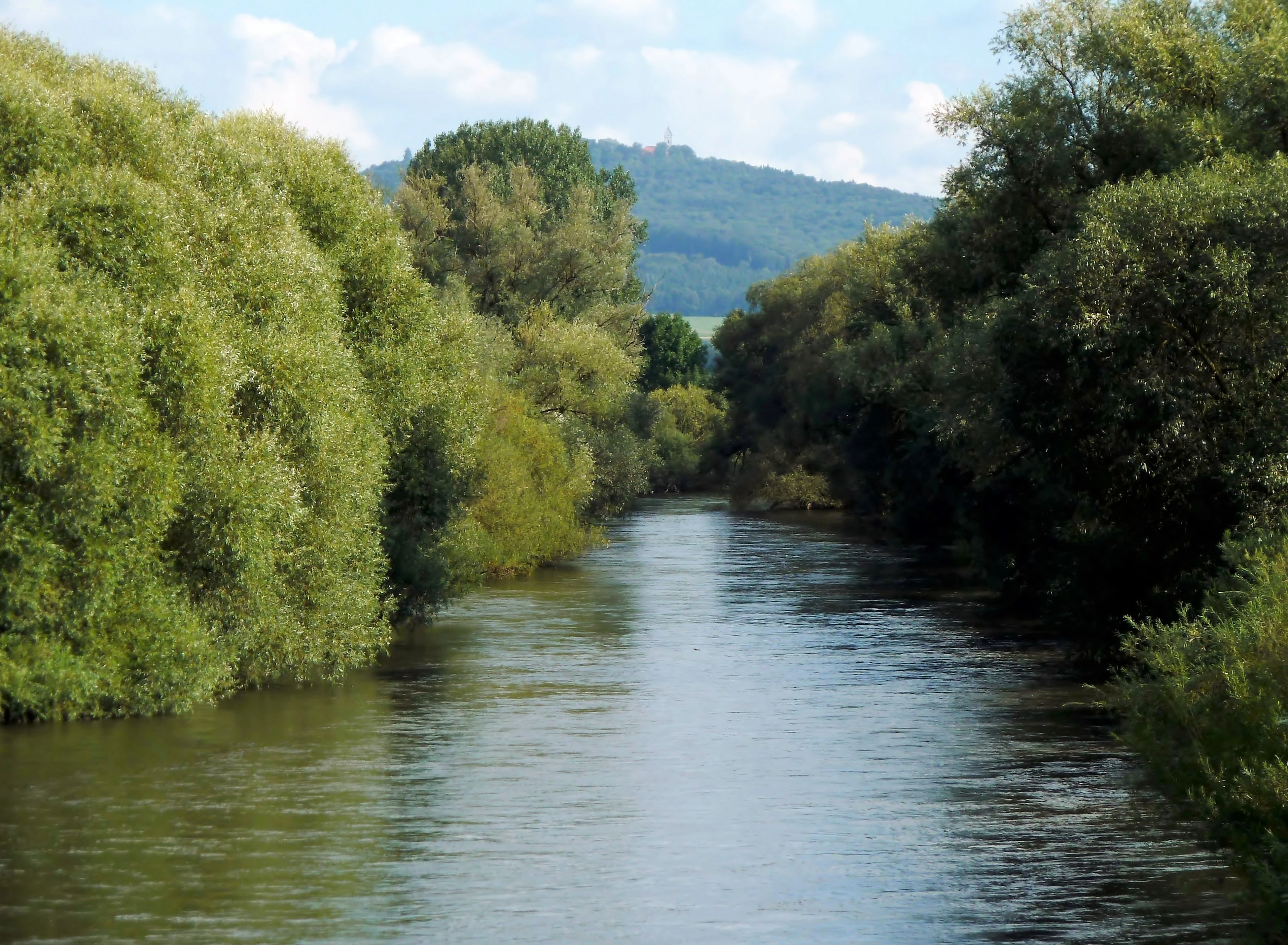 A calm river flowing through a dense corridor of green trees and bushes, leading towards a gentle mountain in the distance under a partly cloudy sky.