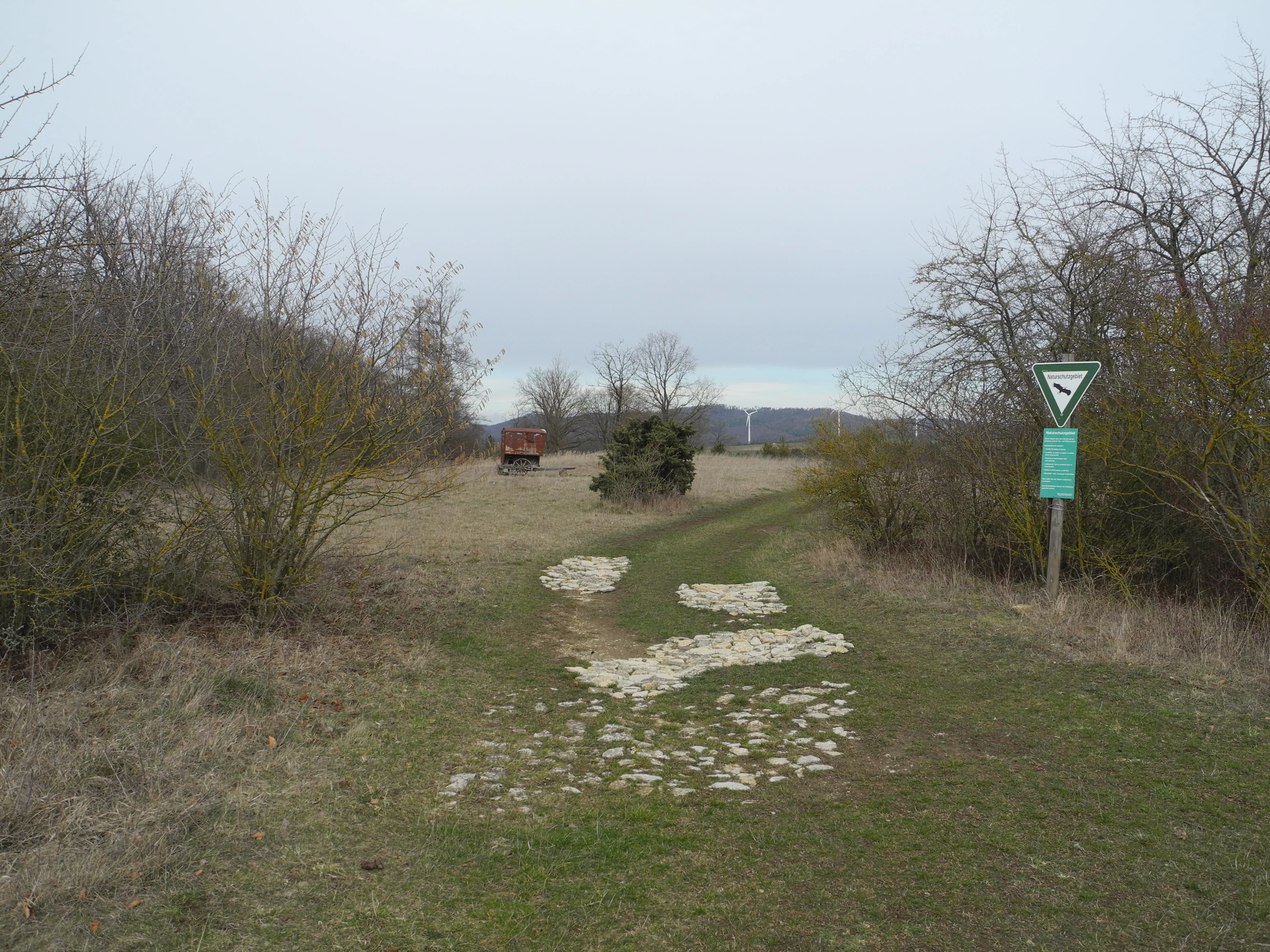 A dirt path with light-colored stones embedded in the ground leads into a grassy field bordered by shrubs and trees in a nature reserve on an overcast day, with a triangular nature reserve sign visible on the right.