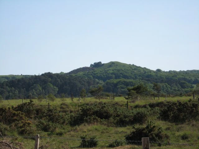 A green conical hill rising above a flat, shrubby heathland landscape under a clear sky.