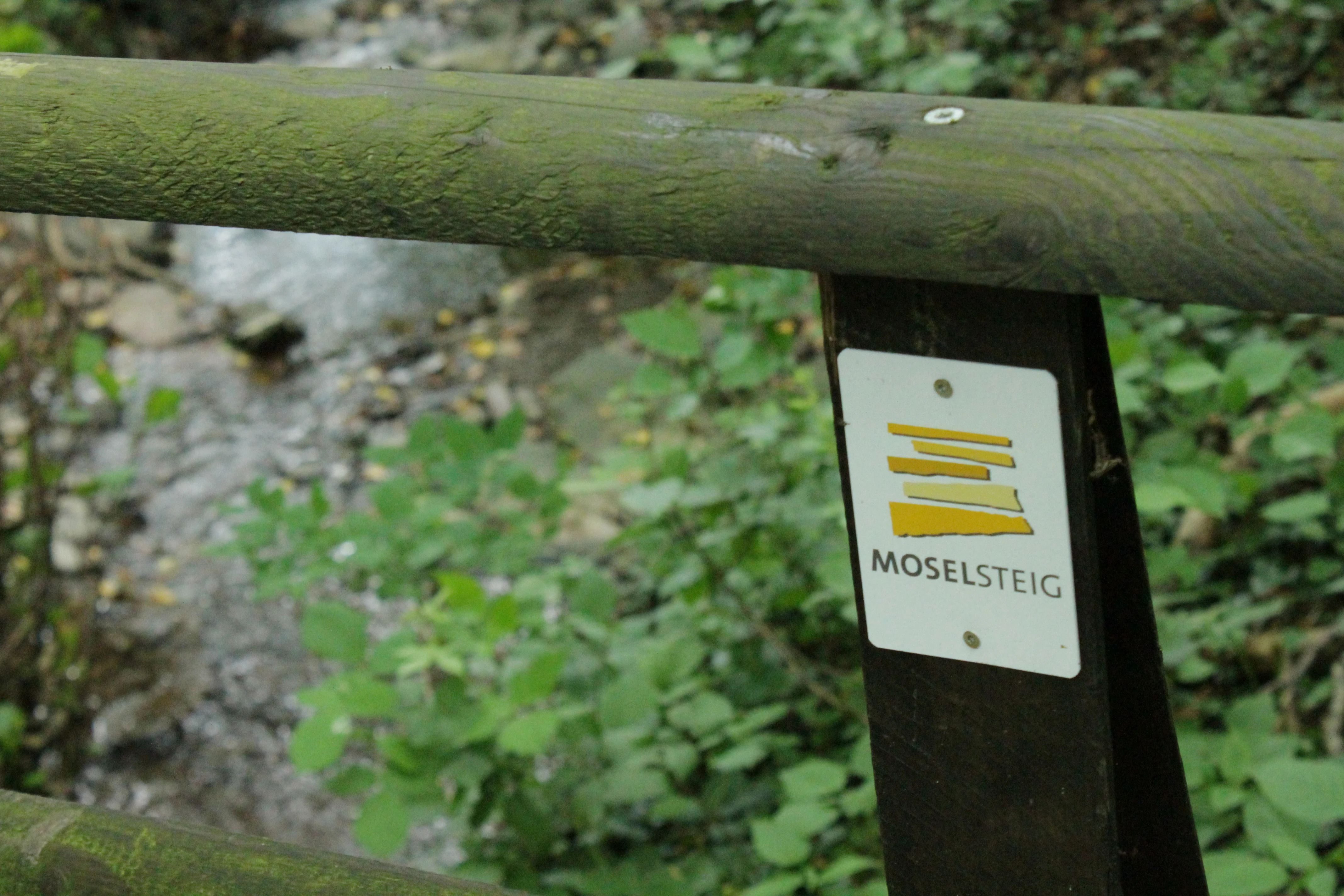 A close-up view of a white trail marker sign labeled Moselsteig attached to a wooden railing, with a blurred stream and green foliage in the background.
