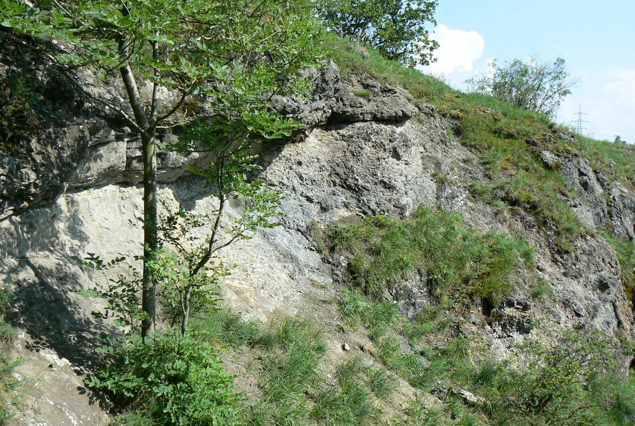 A sloped, rocky hillside with exposed trachybasalt geological formations partially covered by grasses, shrubs, and small deciduous trees.