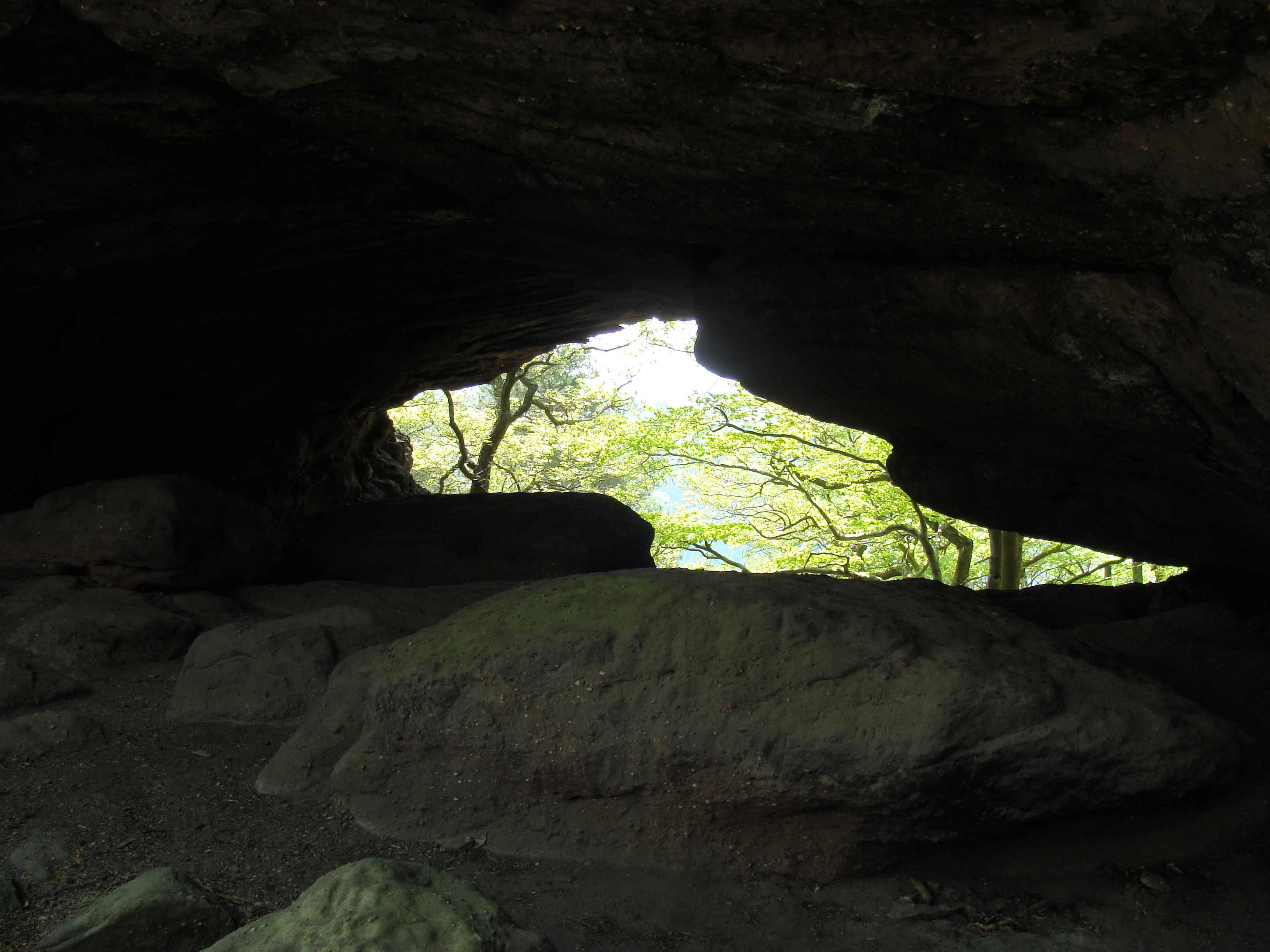 A view from inside a dark, shadowed sandstone rock chamber, looking out through an opening to a bright forest of green trees.