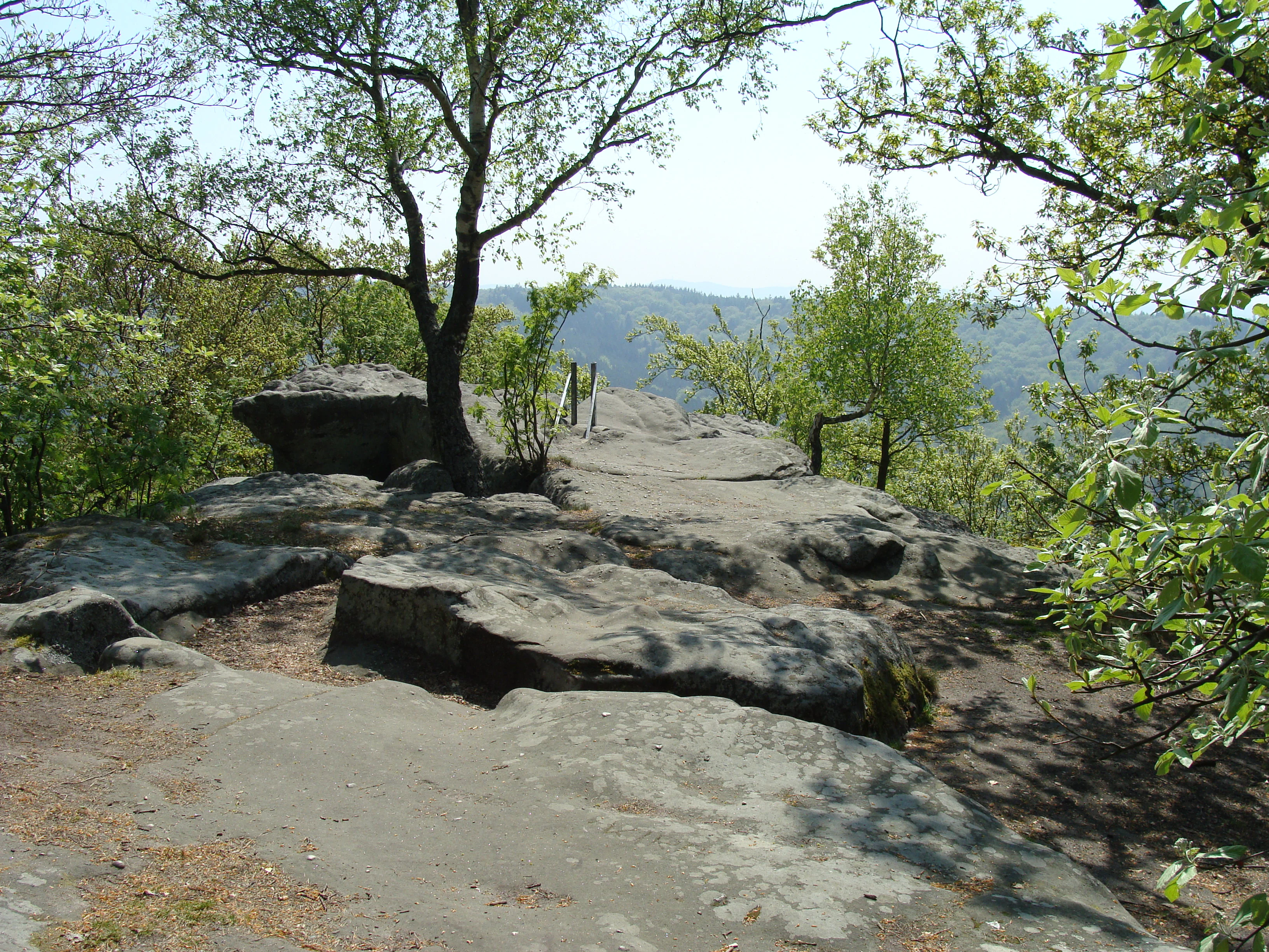 A sandstone plateau formation with trees on the edge, overlooking a forested valley in the distance.