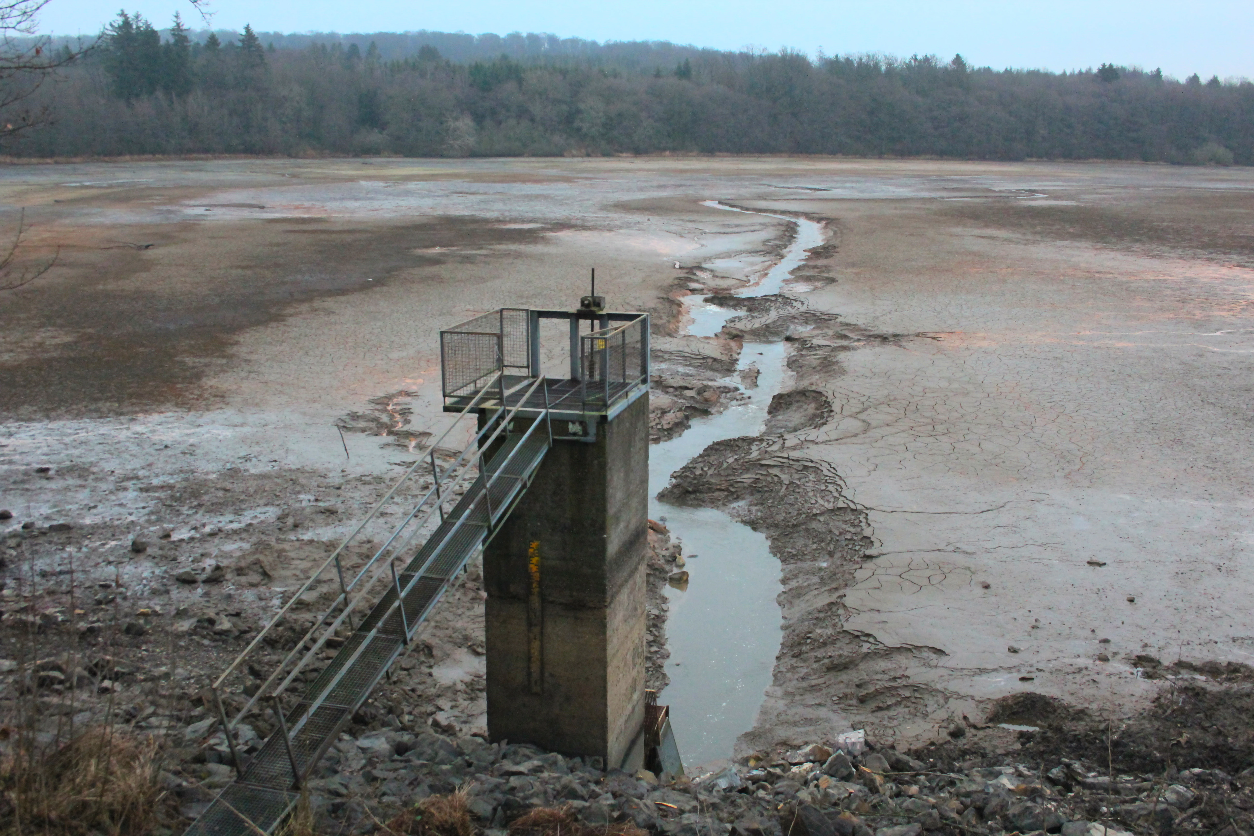 Una toma amplia del lecho drenado del lago Dreifelder Weiher, con una torre de compuertas de hormigón en primer plano y el río Wied fluyendo por el centro hacia una línea de árboles al fondo.