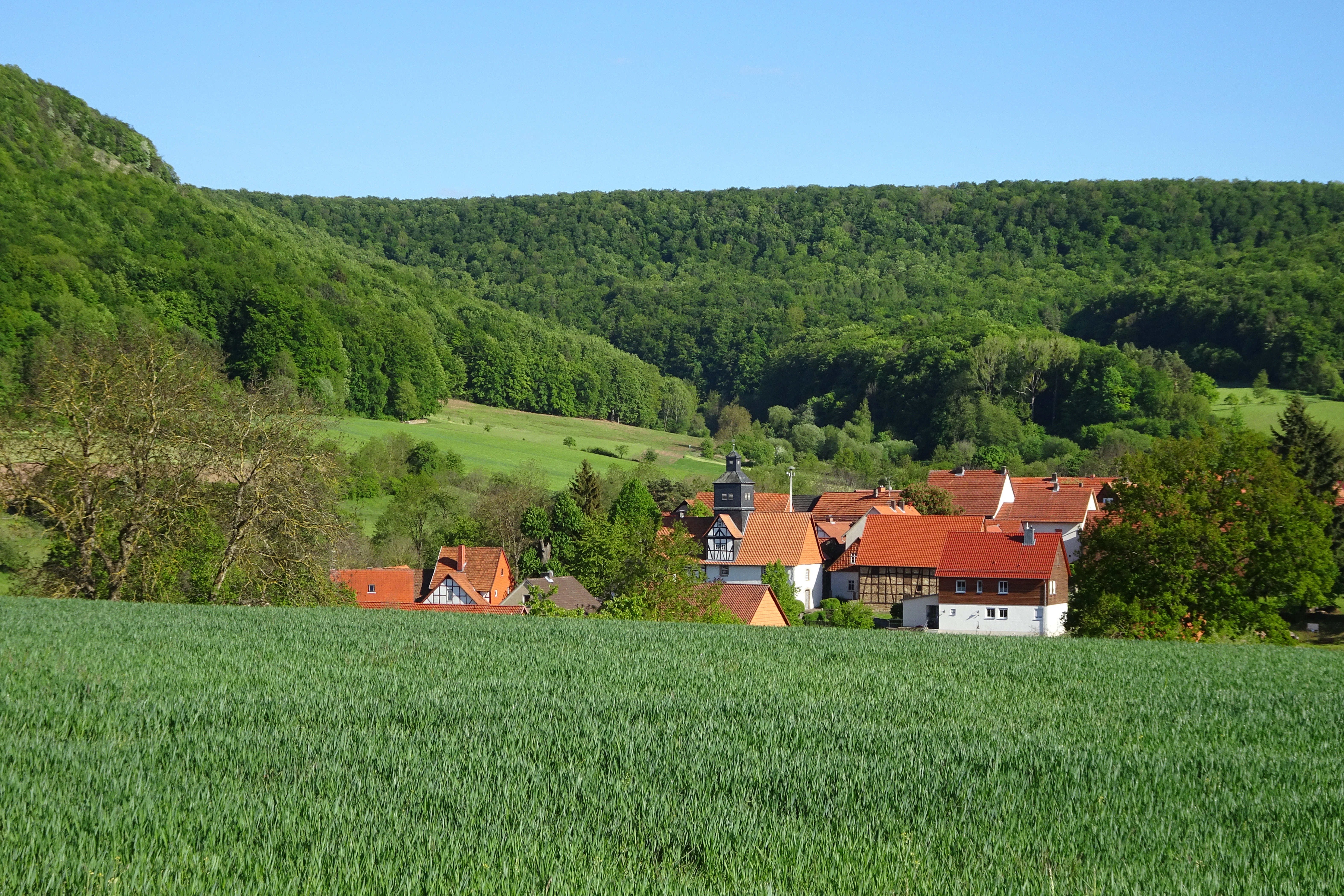 A green field in the foreground leading to a small village with terracotta-roofed houses nestled at the foot of a heavily forested hill under a clear blue sky.