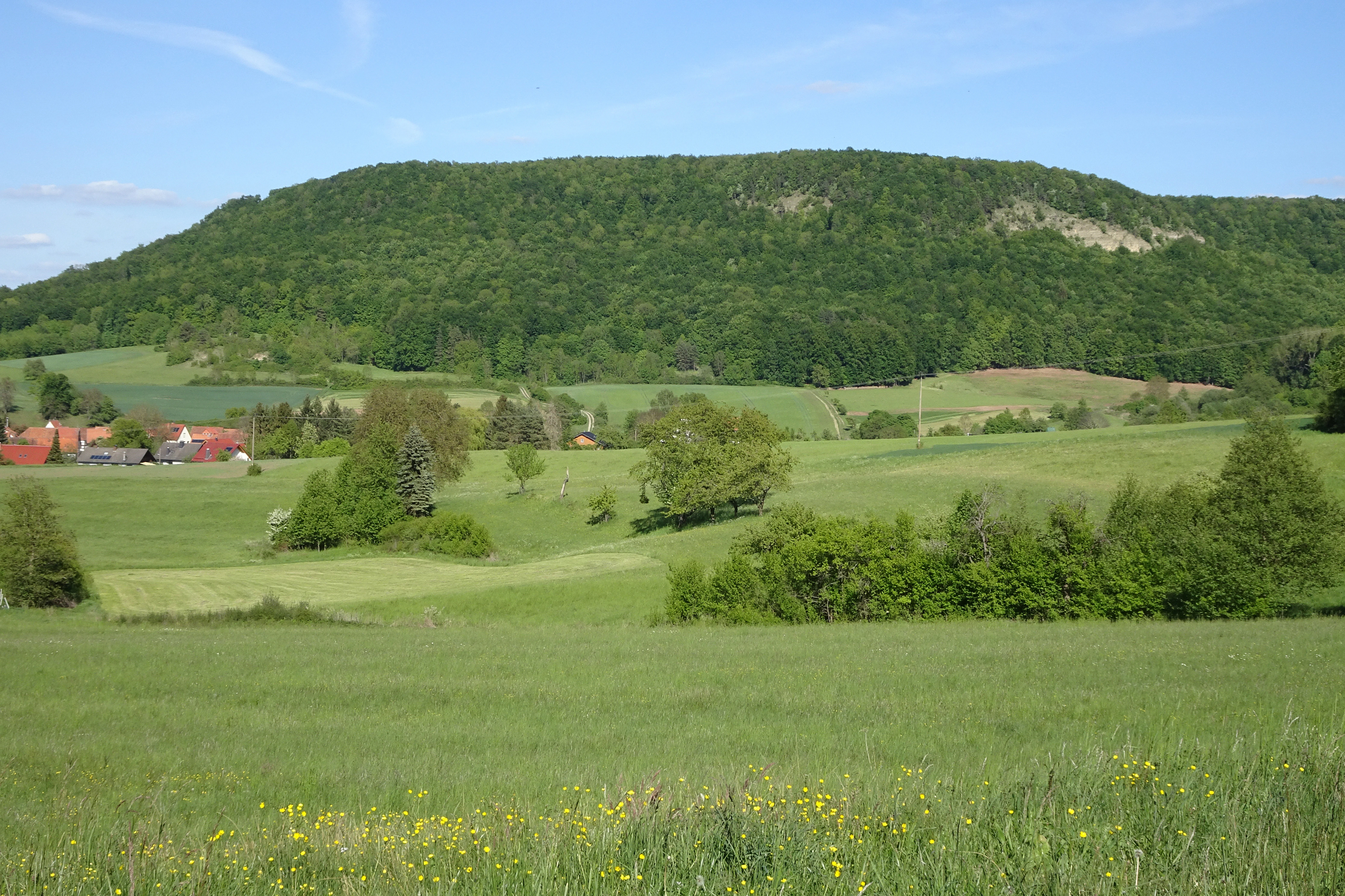 A green forested hill rises behind a rural landscape with meadows, small trees, and a few buildings in the distance under a blue sky.