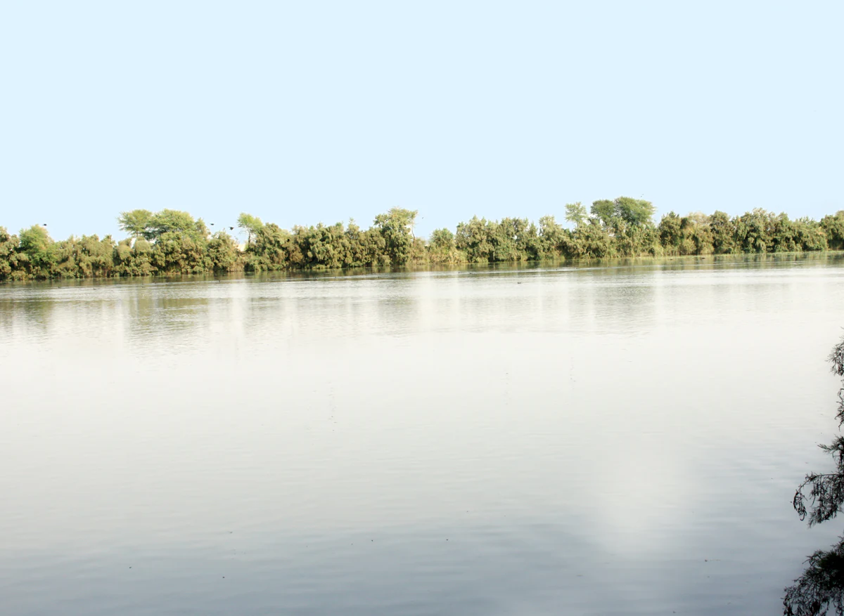 A wide, calm expanse of water fills most of the frame, with a line of low trees and vegetation bordering the far bank under a pale, bright sky.
