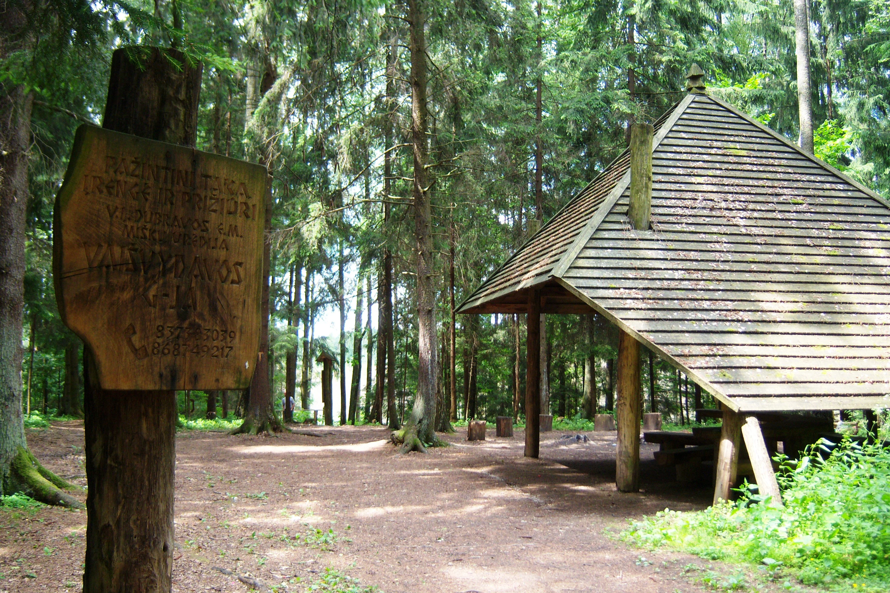 A rustic wooden gazebo shelter with a pyramidal roof sits in a dense forest, with a weathered wooden information sign on a post in the foreground.